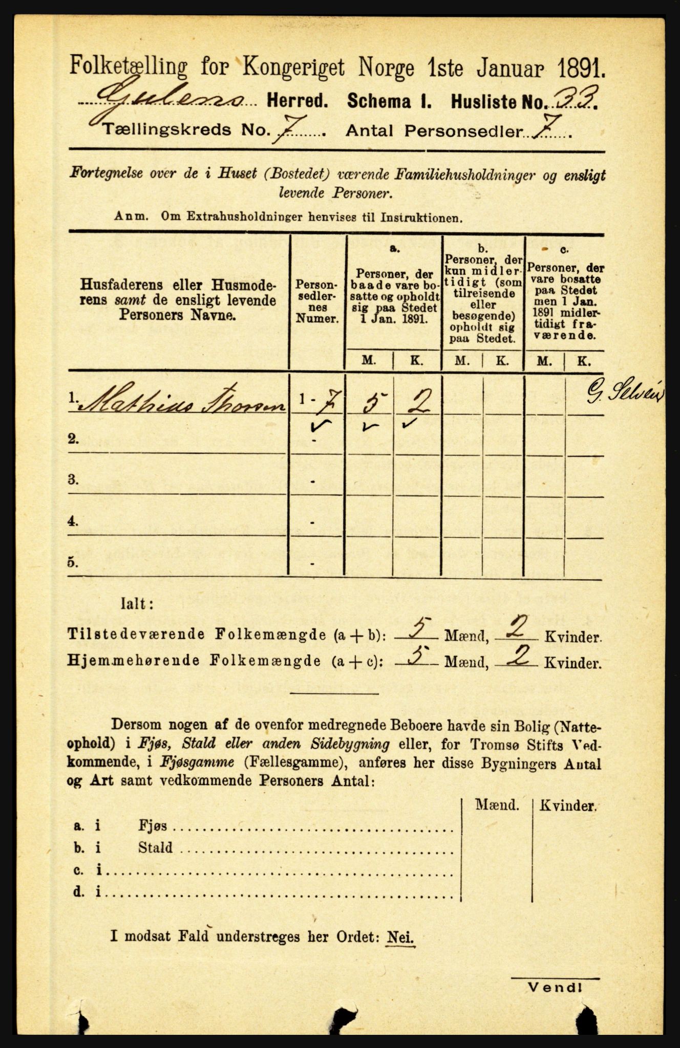 RA, 1891 census for 1411 Gulen, 1891, p. 2213