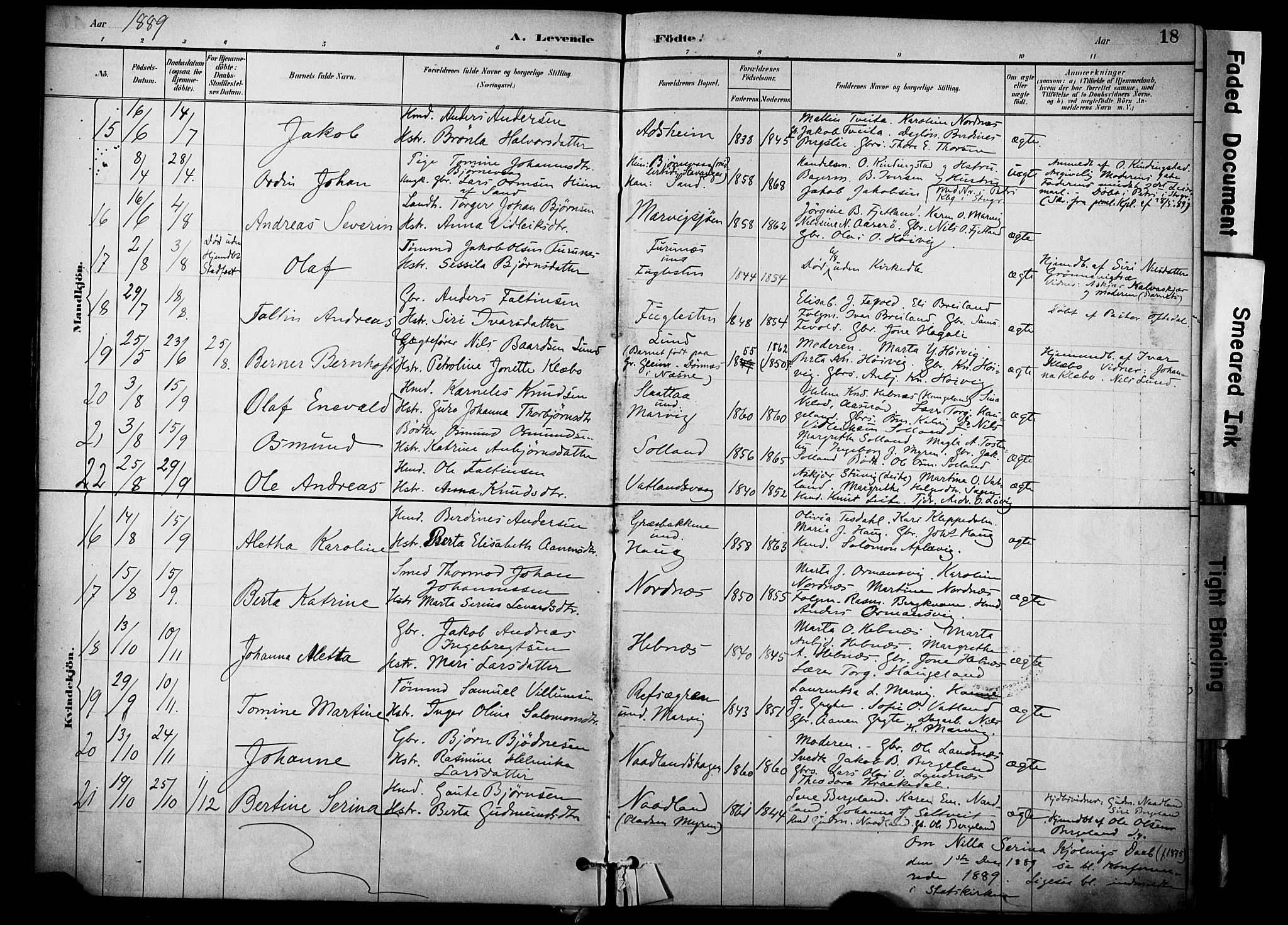 Jelsa sokneprestkontor, AV/SAST-A-101842/01/IV: Parish register (official) no. A 10, 1884-1906, p. 18