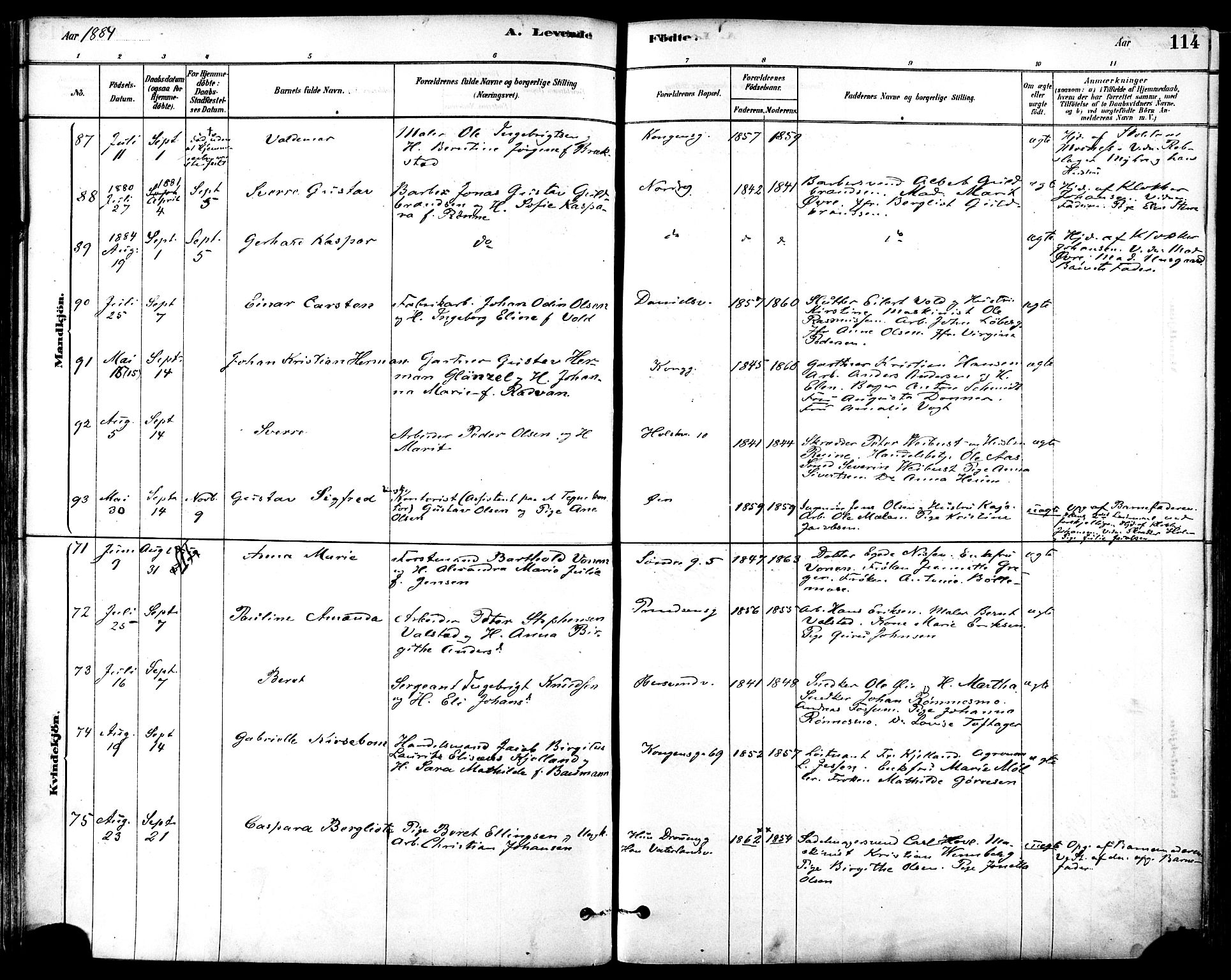 Ministerialprotokoller, klokkerbøker og fødselsregistre - Sør-Trøndelag, AV/SAT-A-1456/601/L0057: Parish register (official) no. 601A25, 1877-1891, p. 114