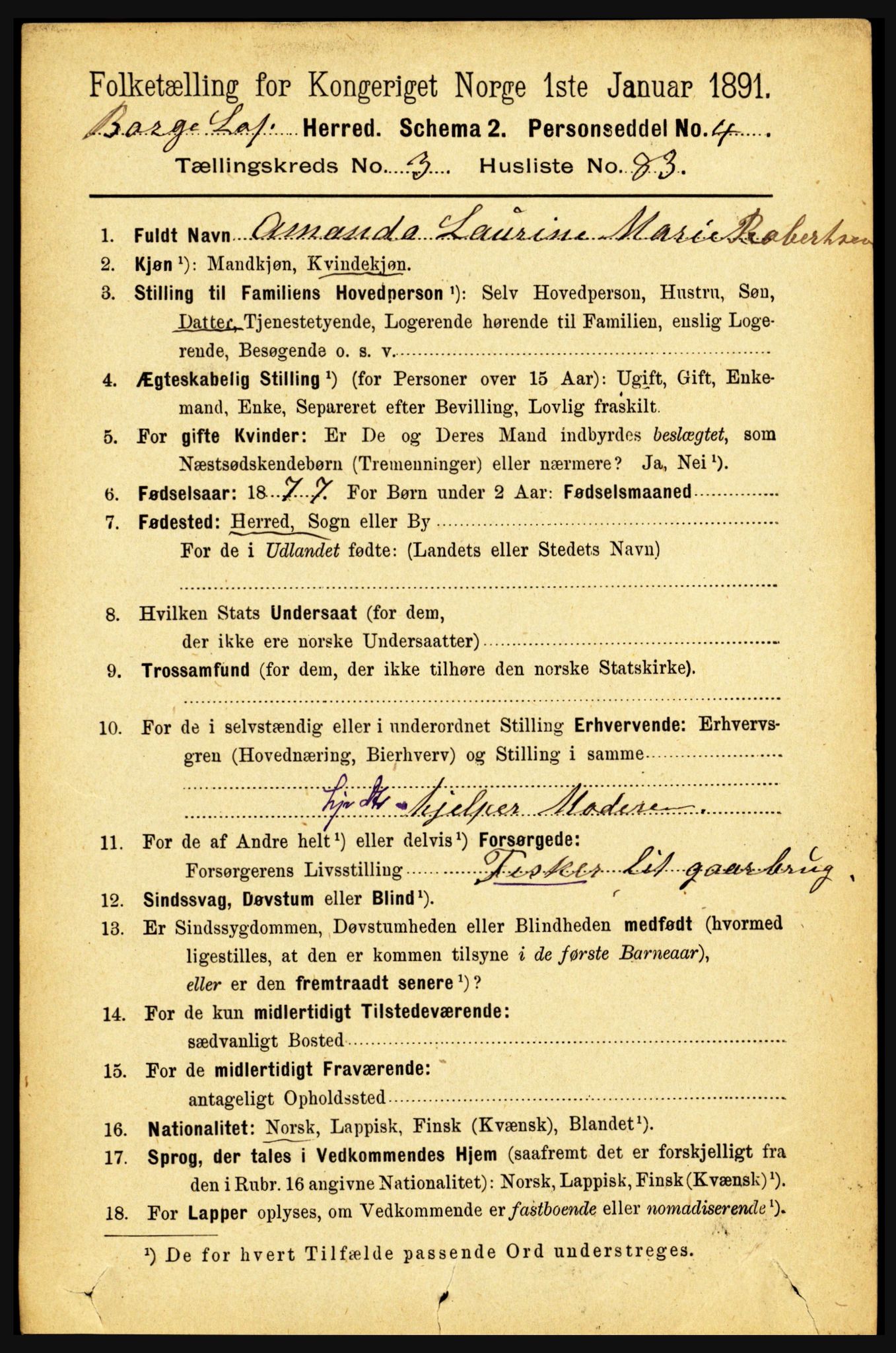 RA, 1891 census for 1862 Borge, 1891, p. 2034