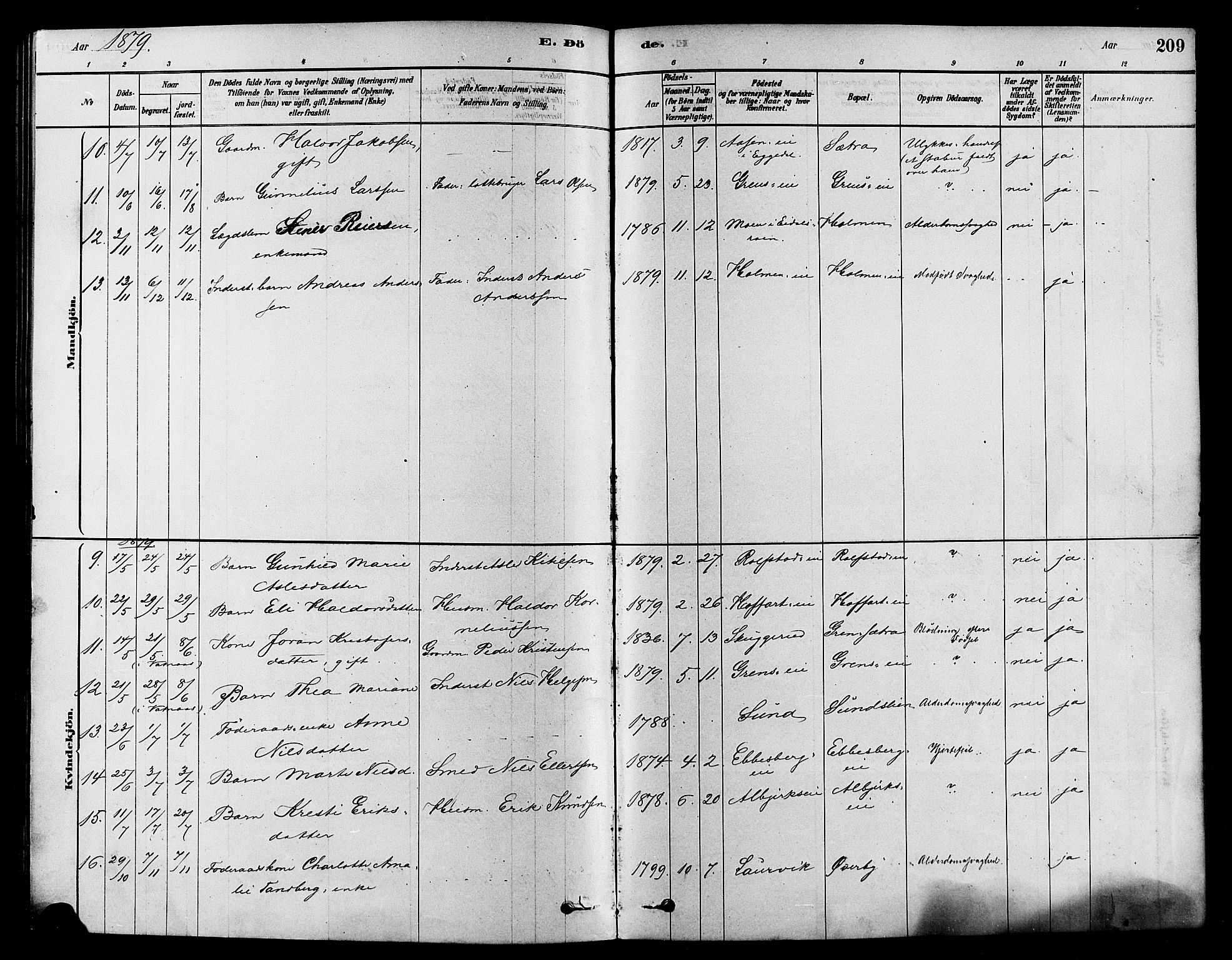 Sigdal kirkebøker, AV/SAKO-A-245/F/Fa/L0011: Parish register (official) no. I 11, 1879-1887, p. 209