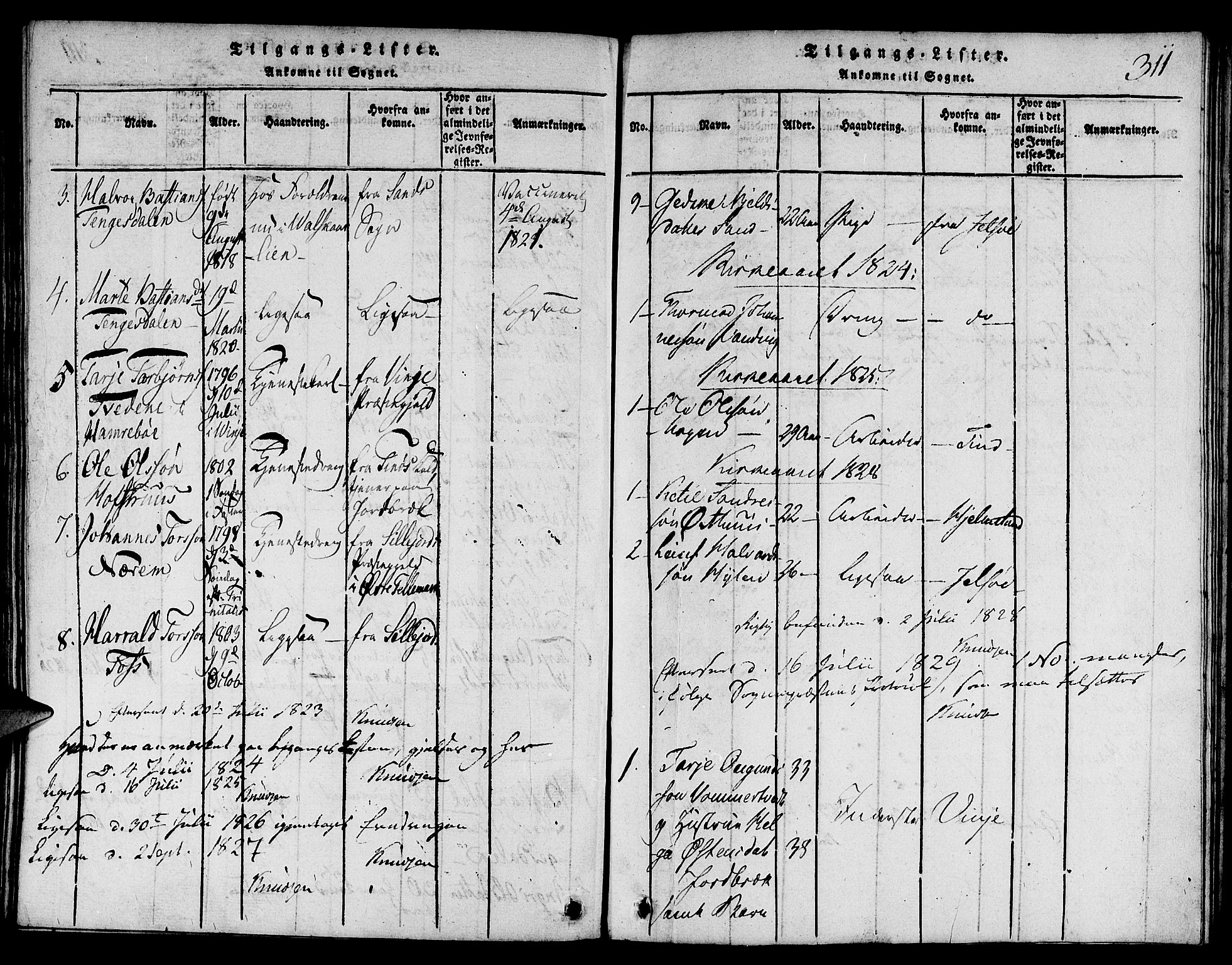 Suldal sokneprestkontor, SAST/A-101845/01/V/L0001: Parish register (copy) no. B 1, 1816-1836, p. 311