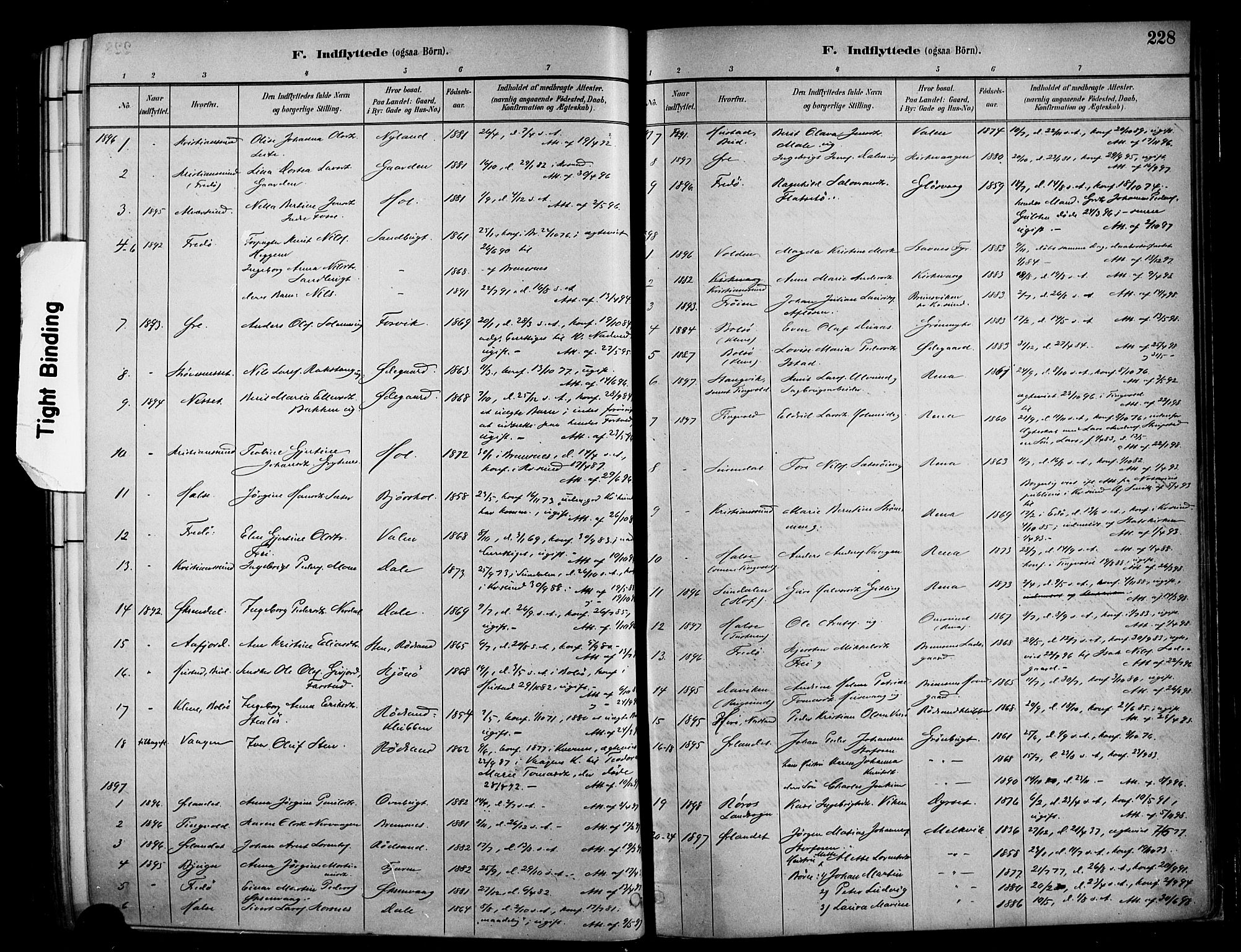 Ministerialprotokoller, klokkerbøker og fødselsregistre - Møre og Romsdal, AV/SAT-A-1454/569/L0819: Parish register (official) no. 569A05, 1885-1899, p. 228