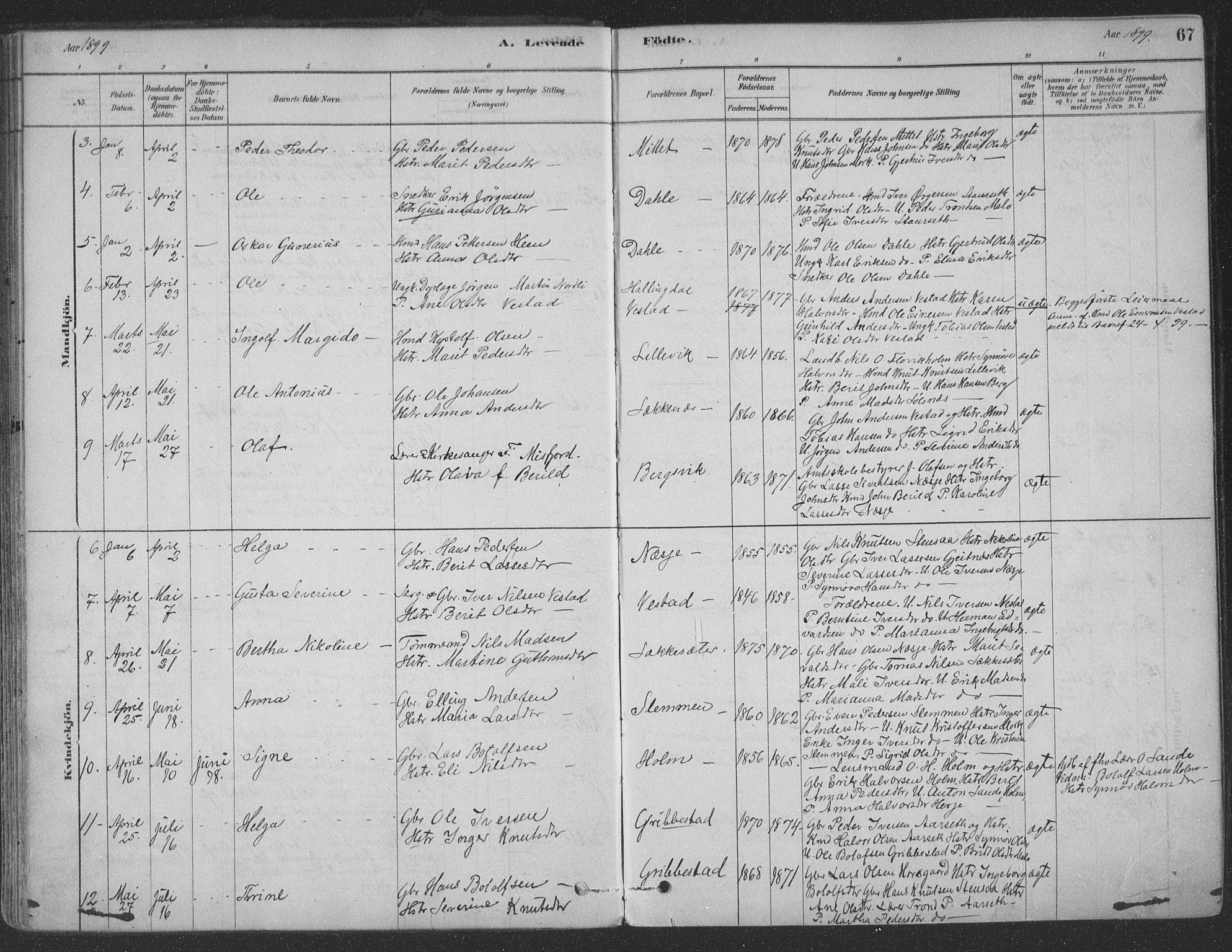 Ministerialprotokoller, klokkerbøker og fødselsregistre - Møre og Romsdal, AV/SAT-A-1454/547/L0604: Parish register (official) no. 547A06, 1878-1906, p. 67