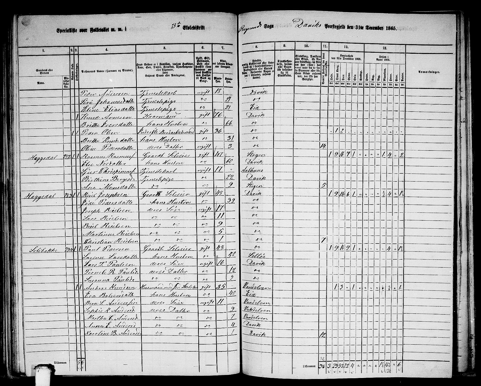 RA, 1865 census for Davik, 1865, p. 74