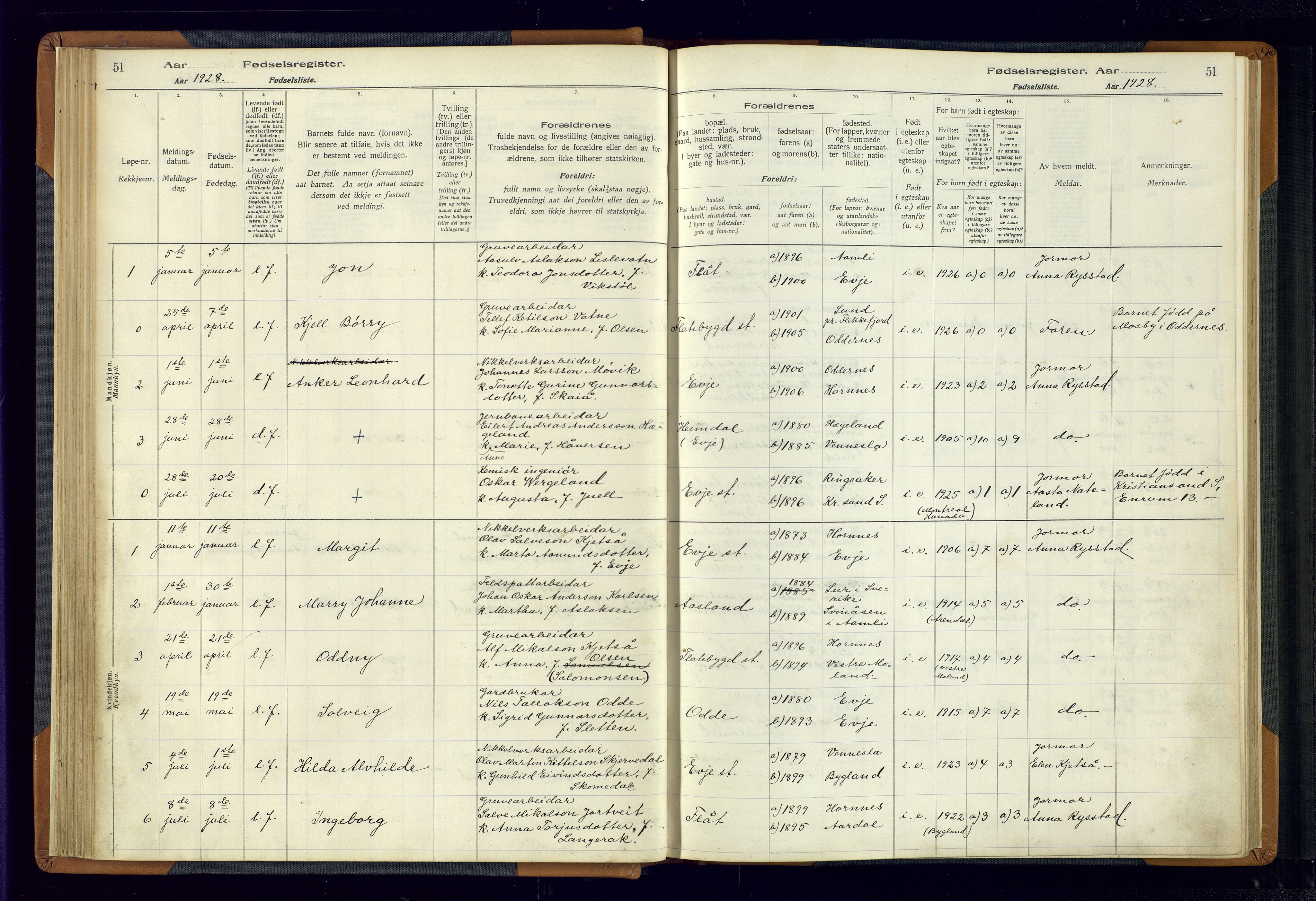 Evje sokneprestkontor, AV/SAK-1111-0008/J/Jc/L0004: Birth register no. 4, 1916-1968, p. 51