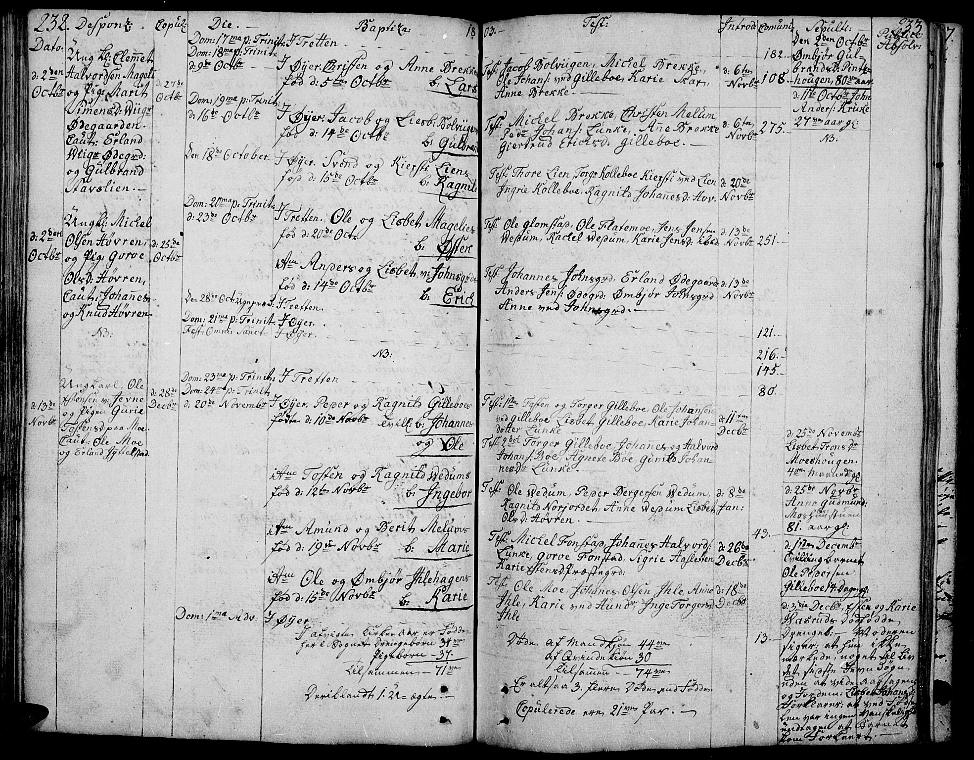 Øyer prestekontor, AV/SAH-PREST-084/H/Ha/Haa/L0003: Parish register (official) no. 3, 1784-1824, p. 232-233