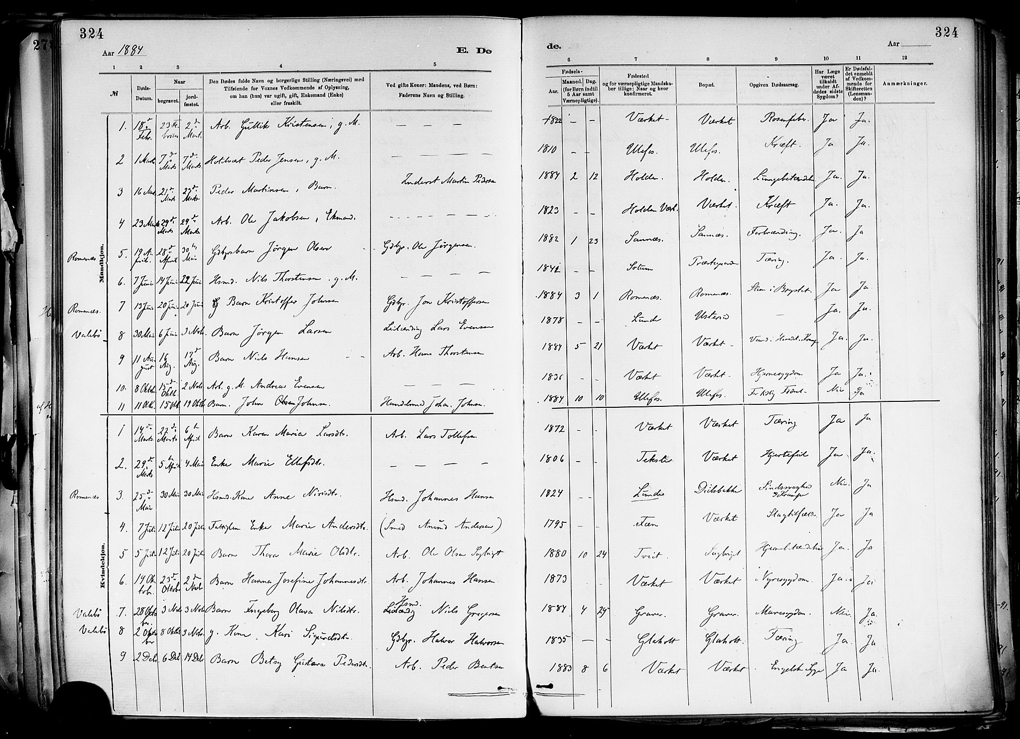 Holla kirkebøker, SAKO/A-272/F/Fa/L0008: Parish register (official) no. 8, 1882-1897, p. 324