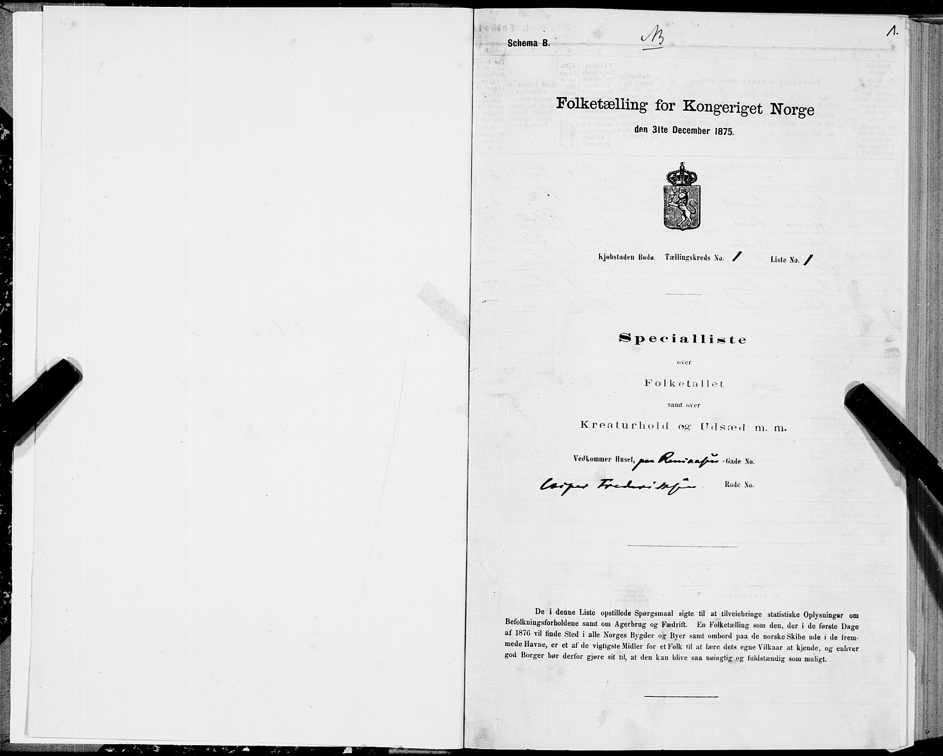SAT, 1875 census for 1804B Bodø/Bodø, 1875, p. 1