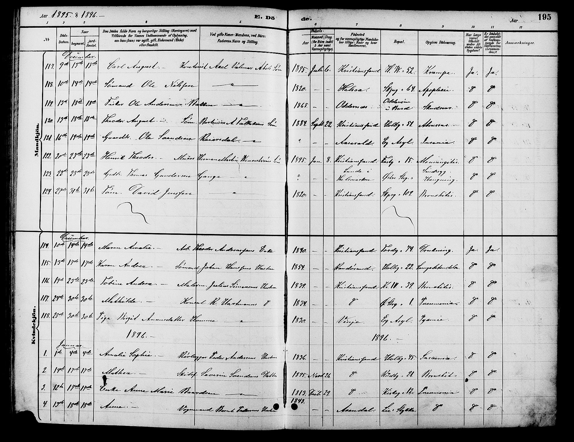 Kristiansand domprosti, SAK/1112-0006/F/Fb/L0017: Parish register (copy) no. B 17, 1893-1906, p. 195