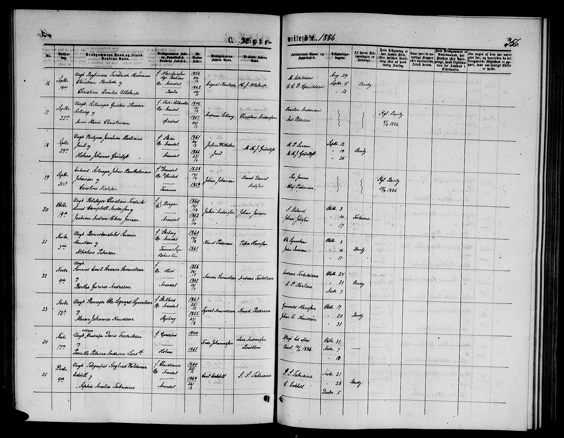 Arendal sokneprestkontor, Trefoldighet, AV/SAK-1111-0040/F/Fb/L0005: Parish register (copy) no. B 5, 1874-1888, p. 356