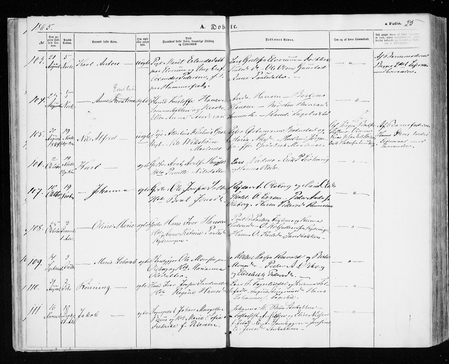 Målselv sokneprestembete, SATØ/S-1311/G/Ga/Gaa/L0004kirke: Parish register (official) no. 4, 1863-1872, p. 25