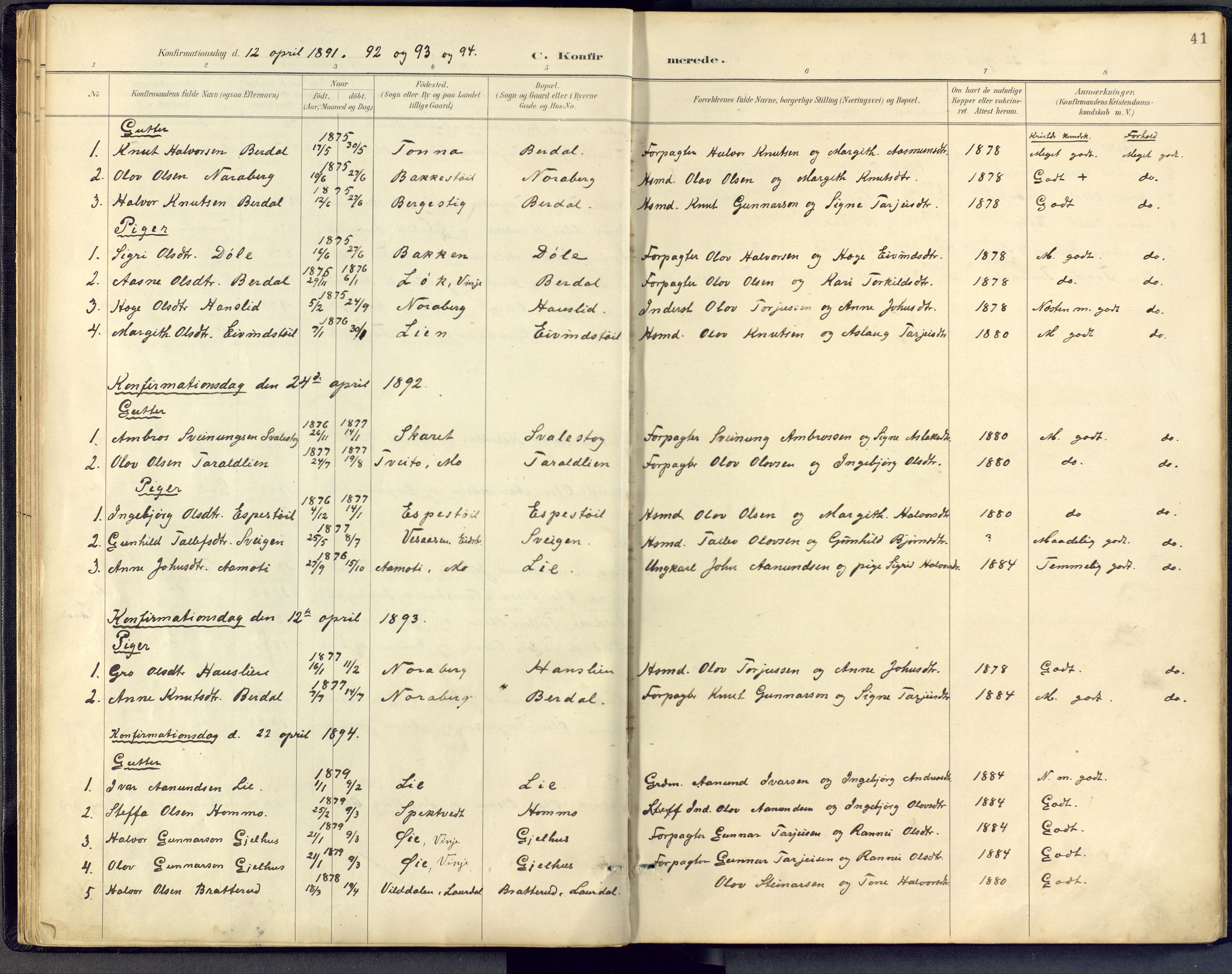 Vinje kirkebøker, SAKO/A-312/F/Fb/L0002: Parish register (official) no. II 2, 1887-1925, p. 41