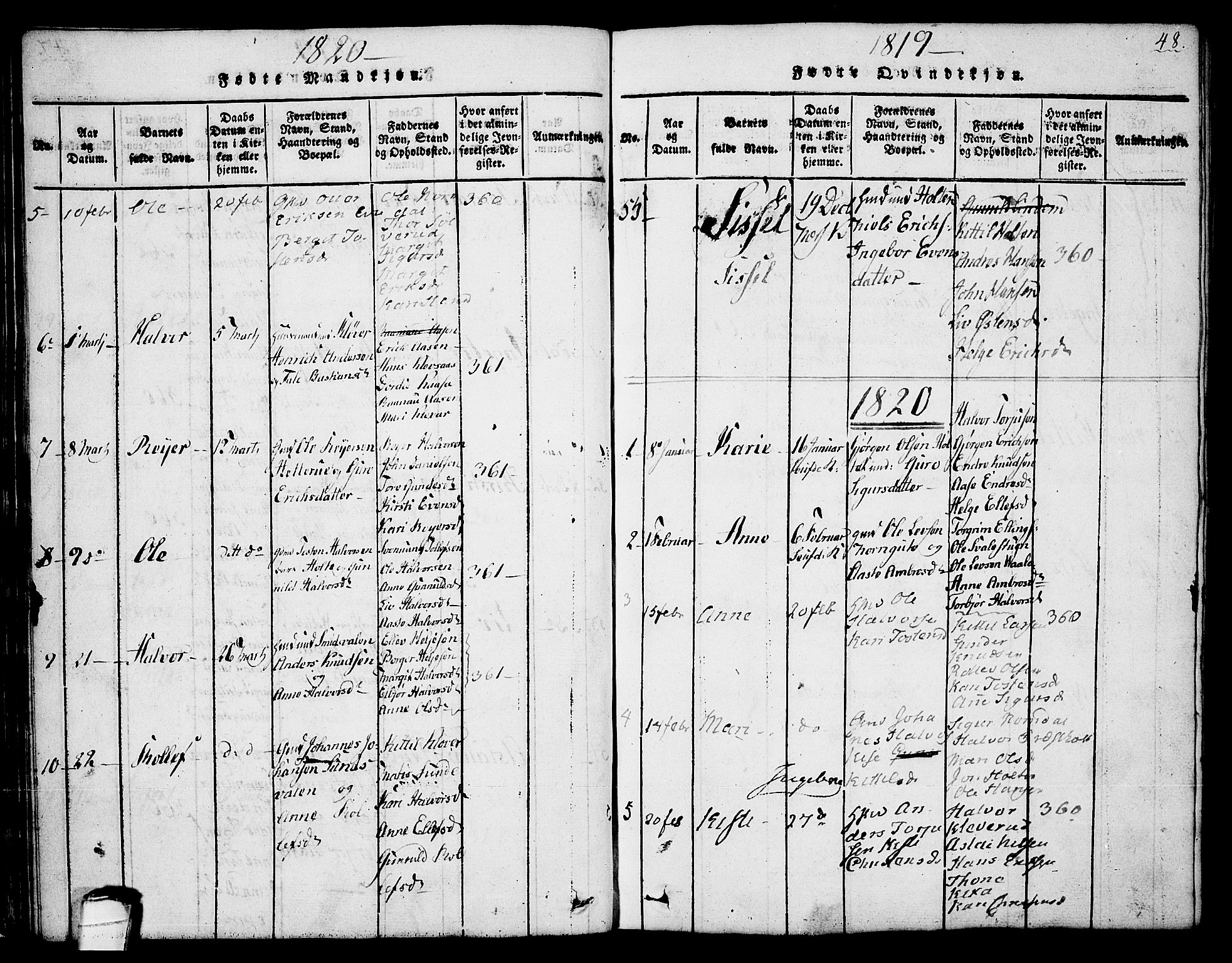 Sauherad kirkebøker, AV/SAKO-A-298/G/Ga/L0001: Parish register (copy) no. I 1, 1815-1827, p. 48