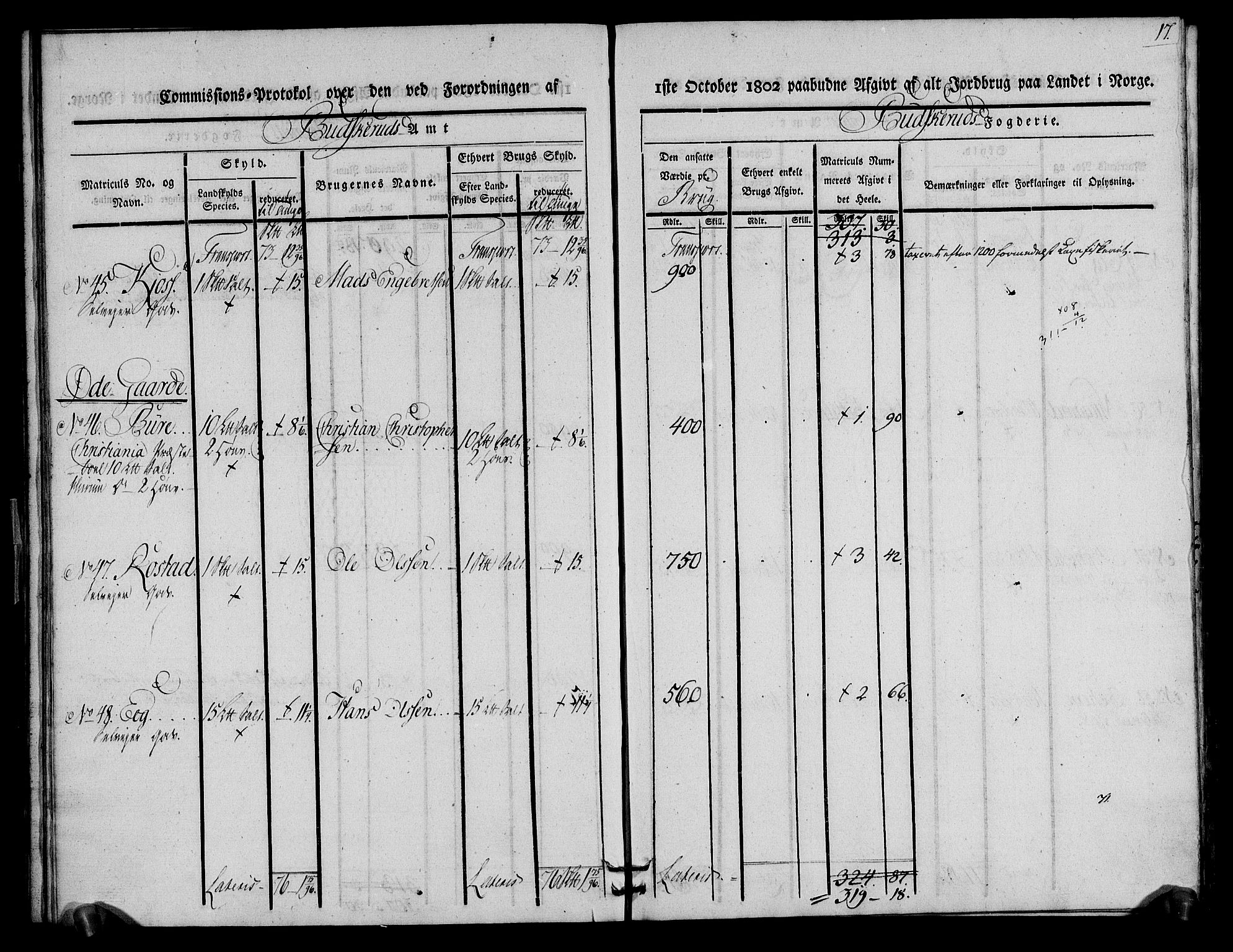 Rentekammeret inntil 1814, Realistisk ordnet avdeling, RA/EA-4070/N/Ne/Nea/L0063: Buskerud fogderi. Kommisjonsprotokoll for Hurum prestegjeld, 1803, p. 17