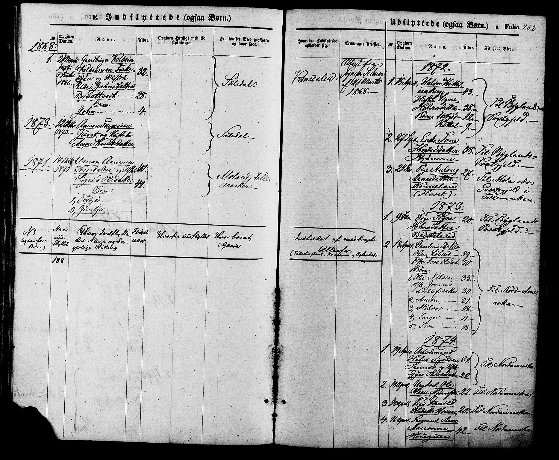 Valle sokneprestkontor, SAK/1111-0044/F/Fa/Fac/L0008: Parish register (official) no. A 8, 1868-1882, p. 262