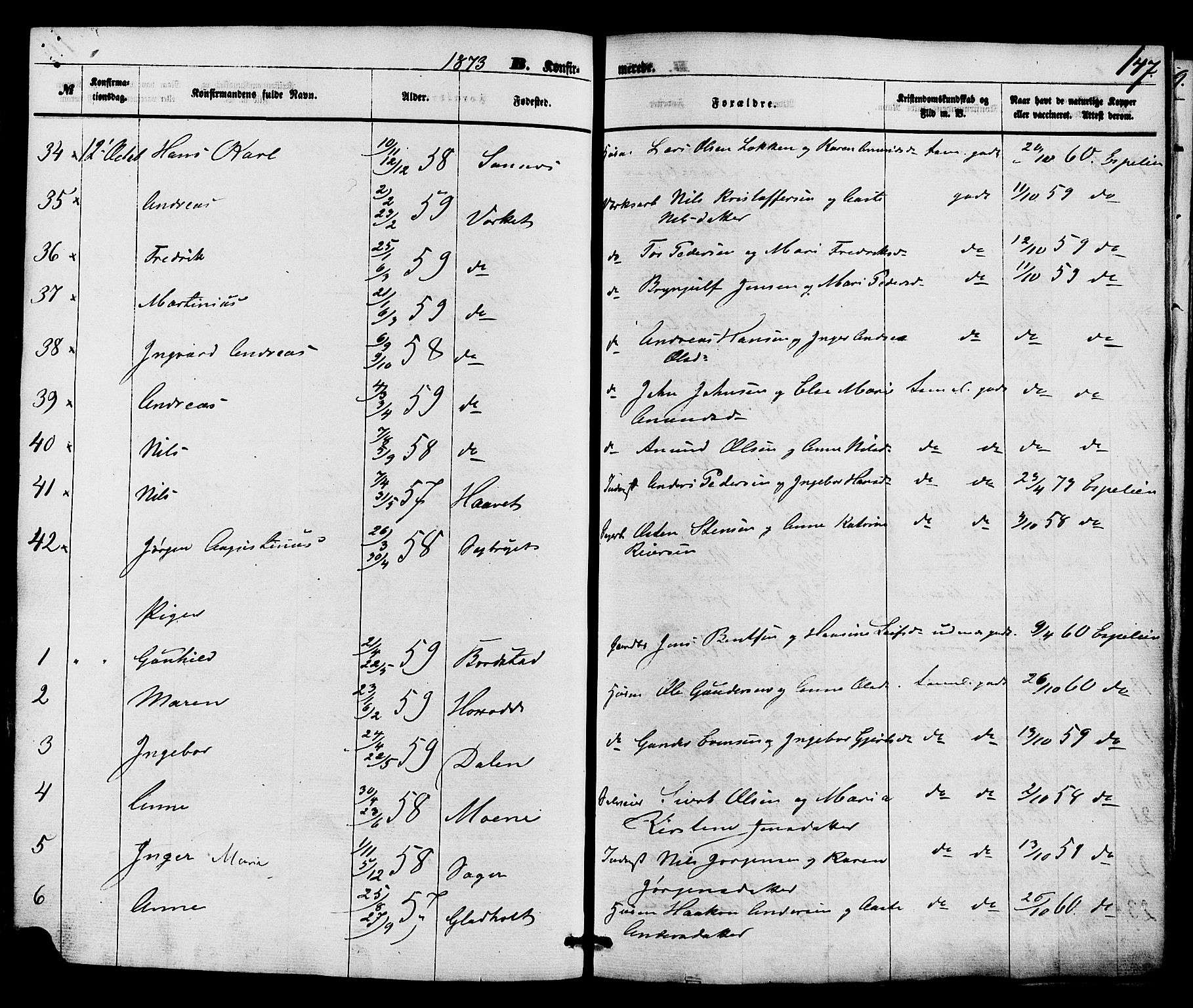 Holla kirkebøker, SAKO/A-272/F/Fa/L0007: Parish register (official) no. 7, 1869-1881, p. 147