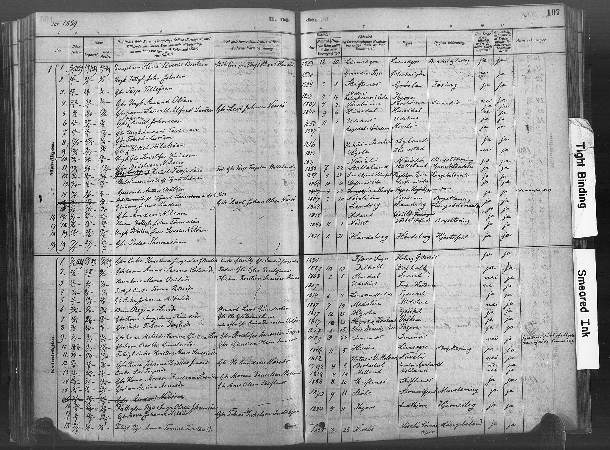 Hommedal sokneprestkontor, AV/SAK-1111-0023/F/Fa/Fab/L0006: Parish register (official) no. A 6, 1878-1897, p. 197