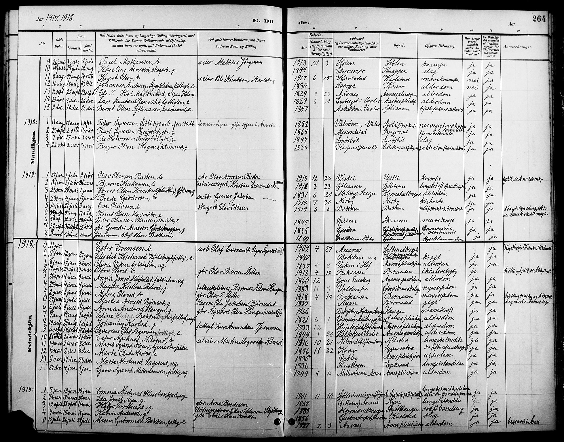 Åsnes prestekontor, AV/SAH-PREST-042/H/Ha/Hab/L0005: Parish register (copy) no. 5, 1895-1920, p. 264