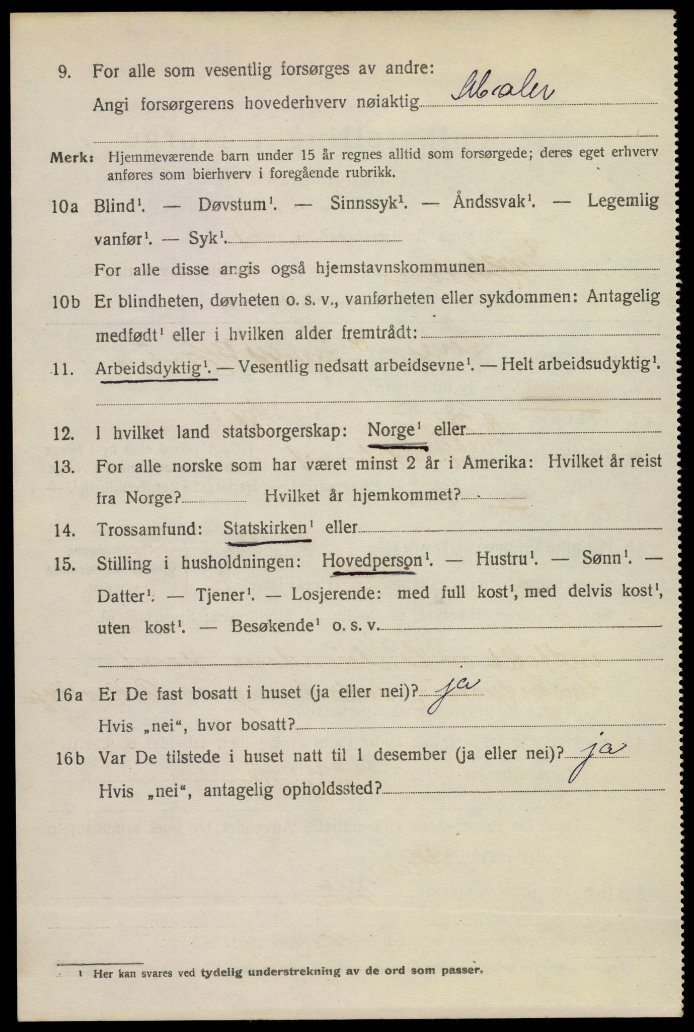 SAKO, 1920 census for Horten, 1920, p. 17542