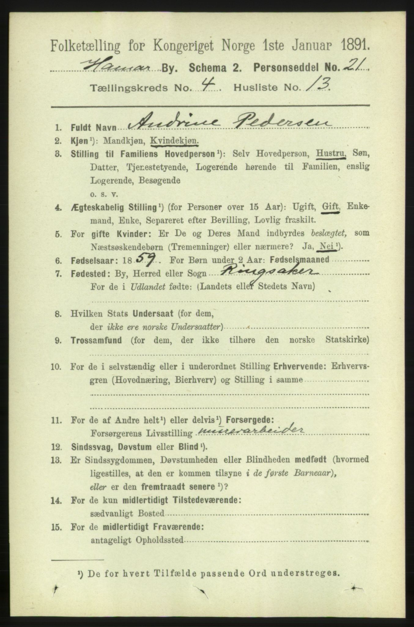 RA, 1891 census for 0401 Hamar, 1891, p. 3022