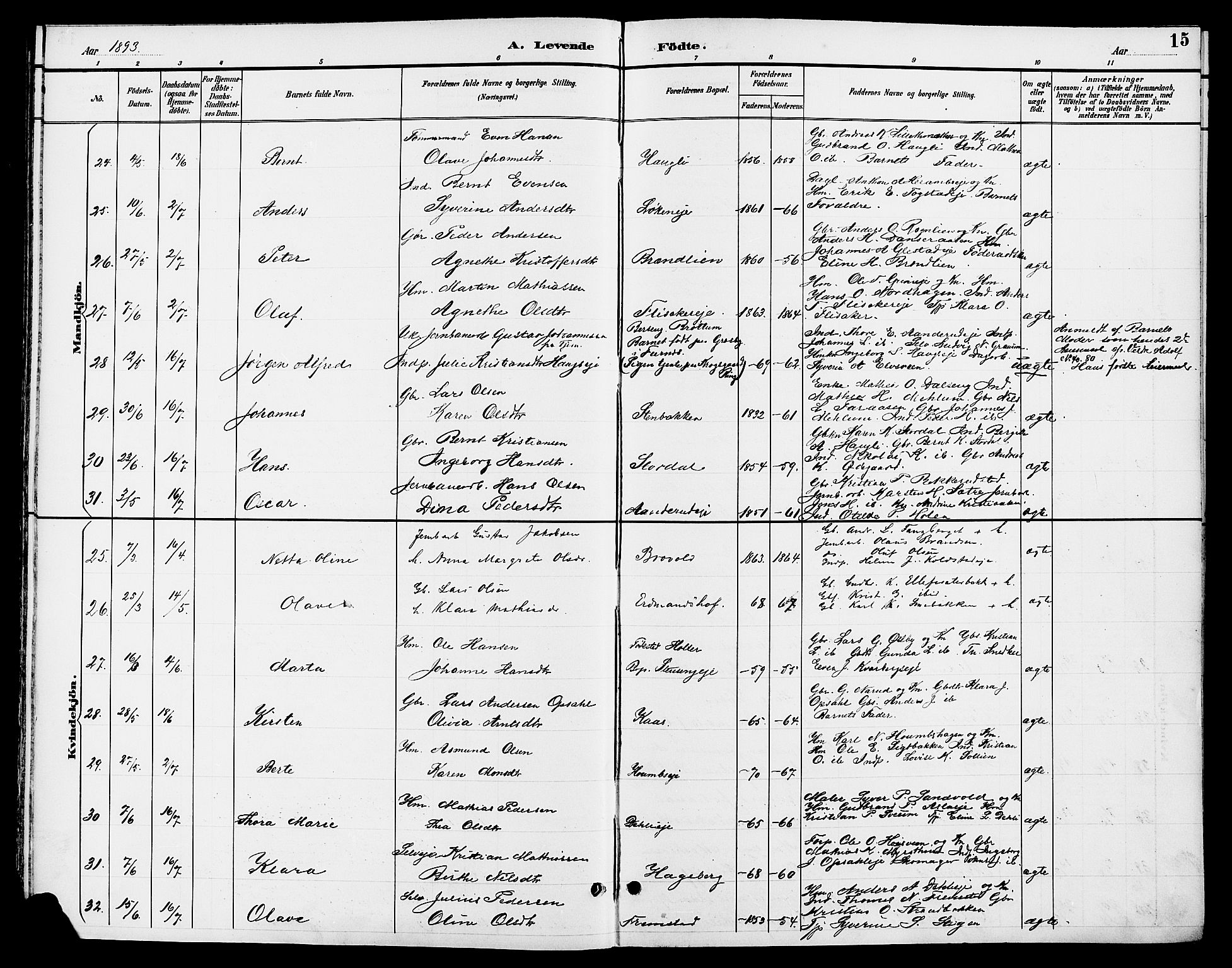 Ringsaker prestekontor, AV/SAH-PREST-014/L/La/L0014: Parish register (copy) no. 14, 1891-1904, p. 15