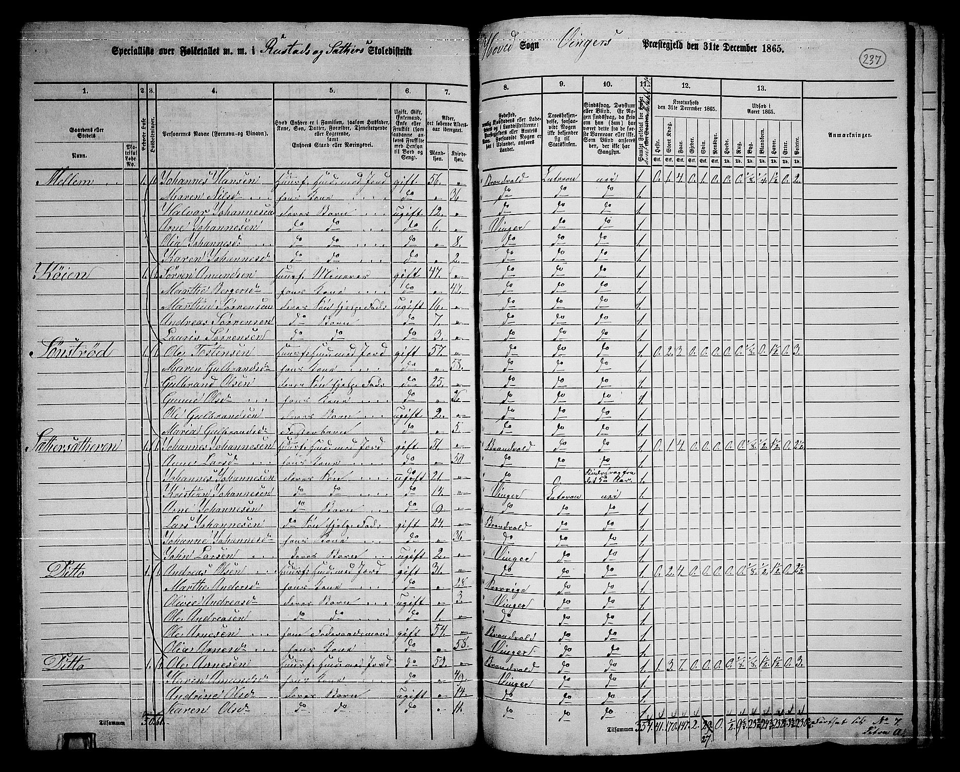 RA, 1865 census for Vinger/Vinger og Austmarka, 1865, p. 217