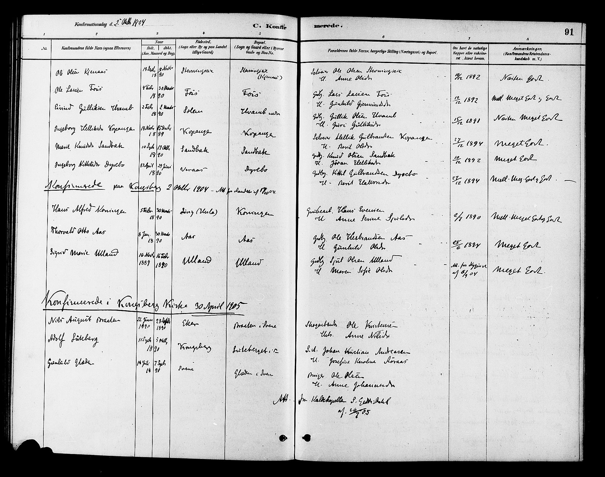 Flesberg kirkebøker, AV/SAKO-A-18/F/Fb/L0001: Parish register (official) no. II 1, 1879-1907, p. 91