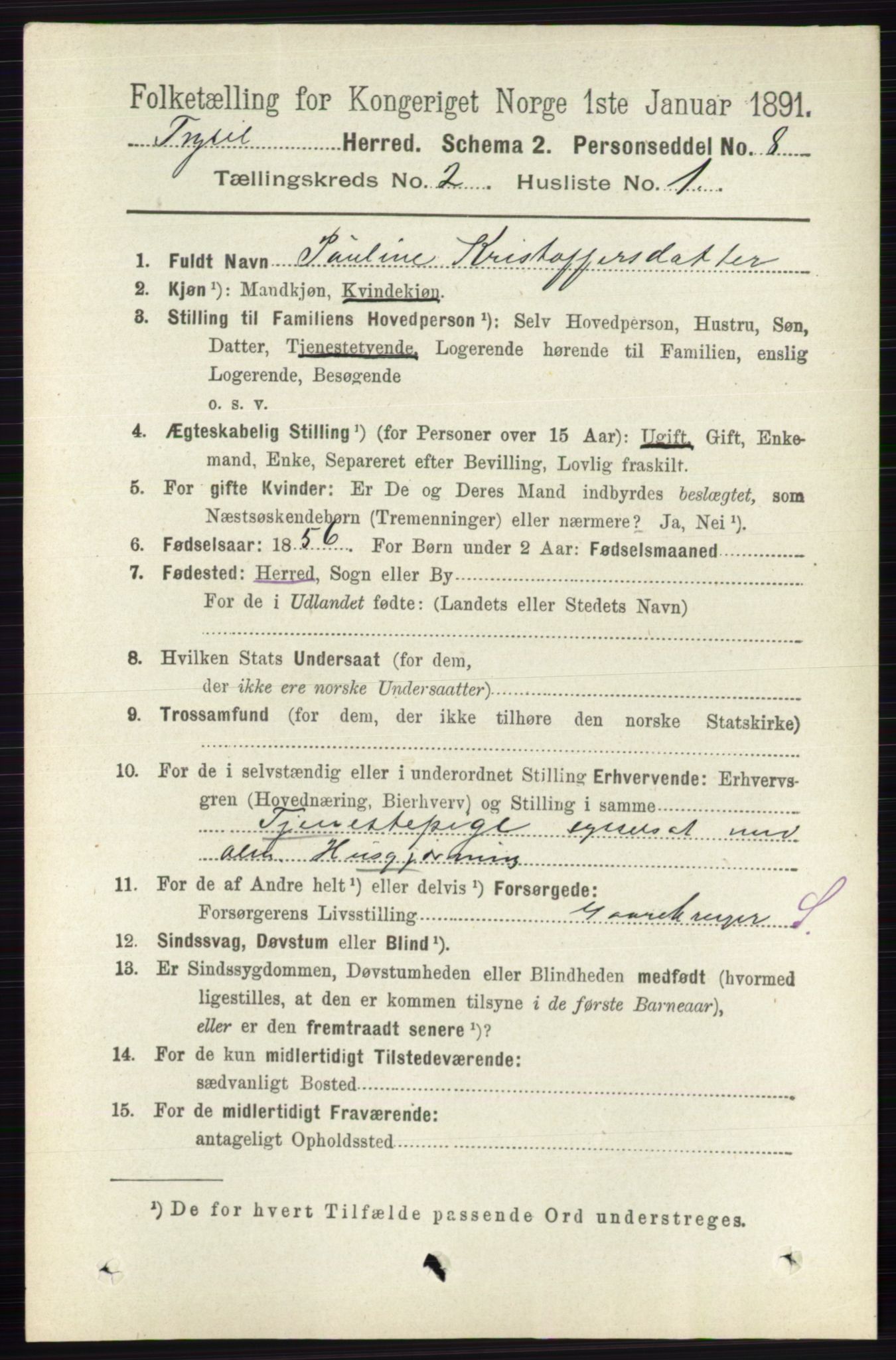 RA, 1891 census for 0428 Trysil, 1891, p. 731