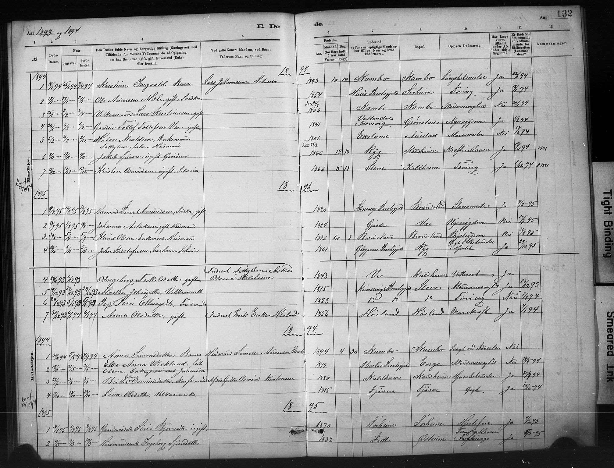 Etne sokneprestembete, AV/SAB-A-75001/H/Hab: Parish register (copy) no. A 5, 1879-1896, p. 132