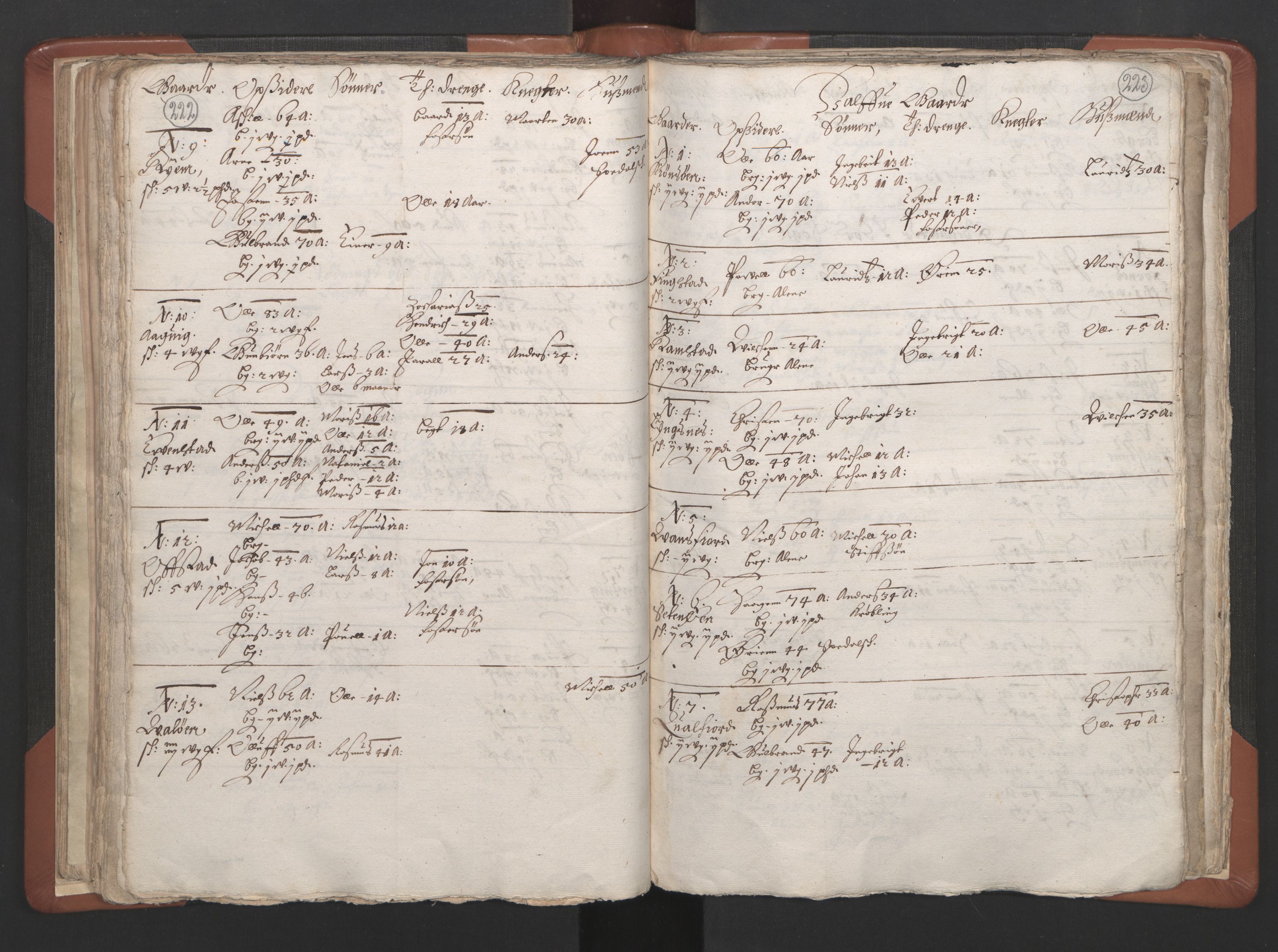 RA, Vicar's Census 1664-1666, no. 34: Namdal deanery, 1664-1666, p. 222-223