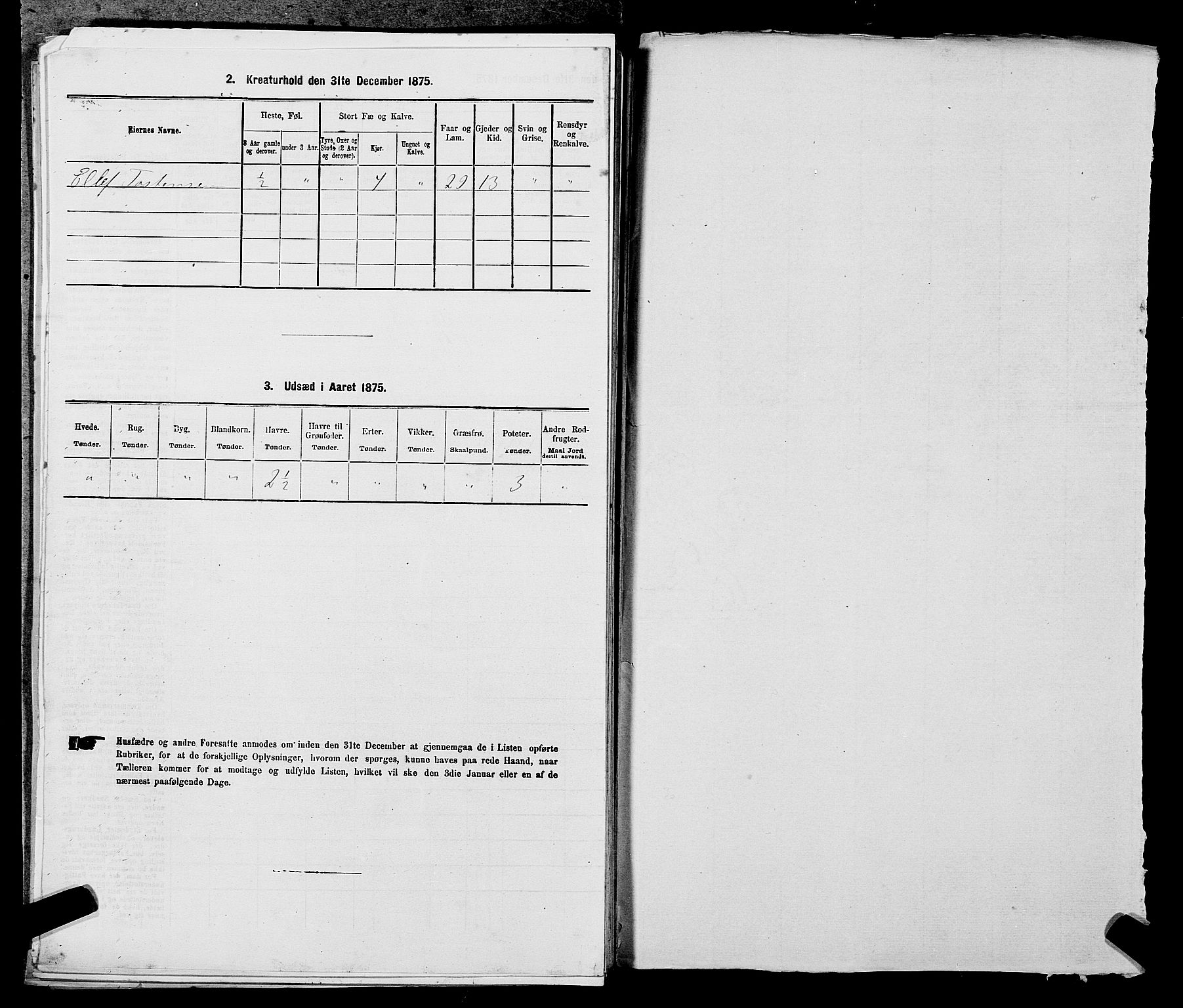 SAST, 1875 census for 1128P Høgsfjord, 1875, p. 313