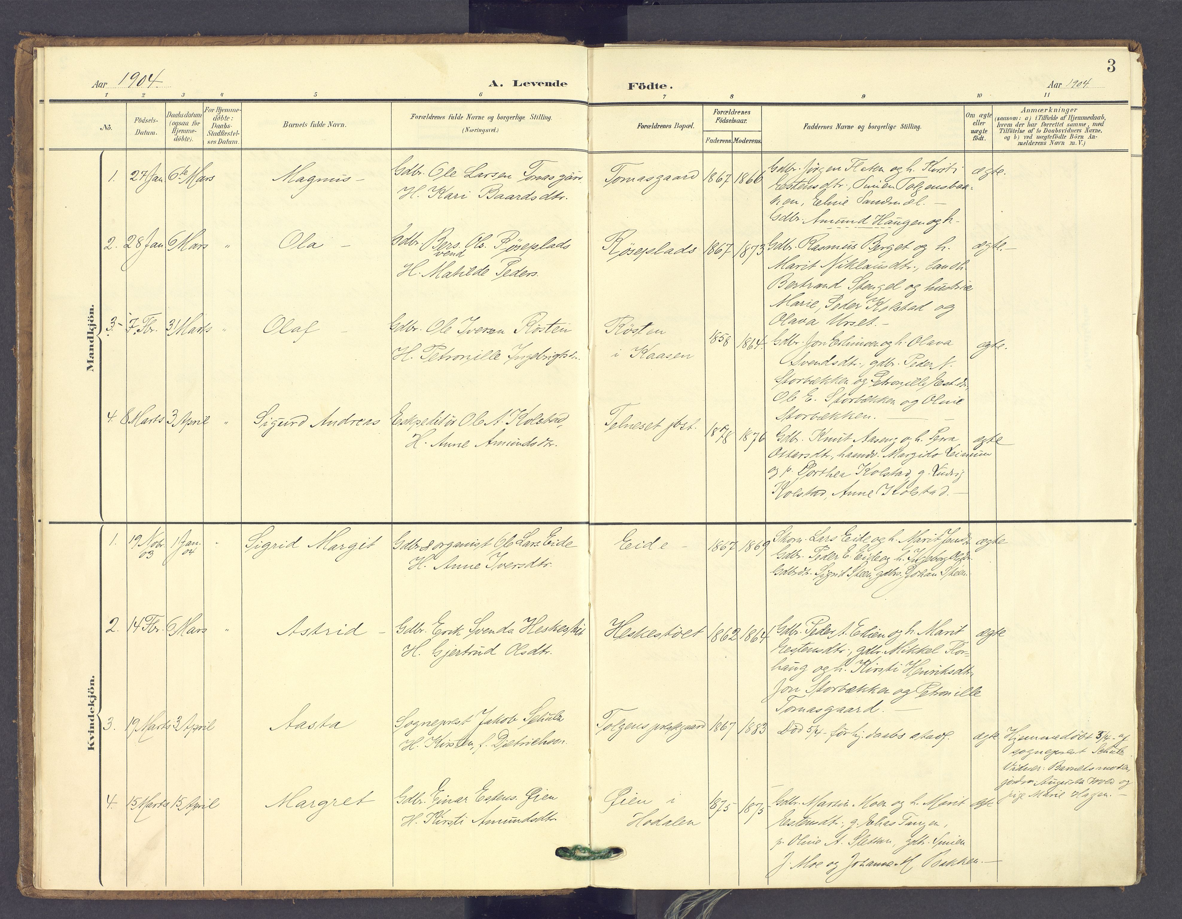 Tolga prestekontor, SAH/PREST-062/K/L0014: Parish register (official) no. 14, 1903-1929, p. 3