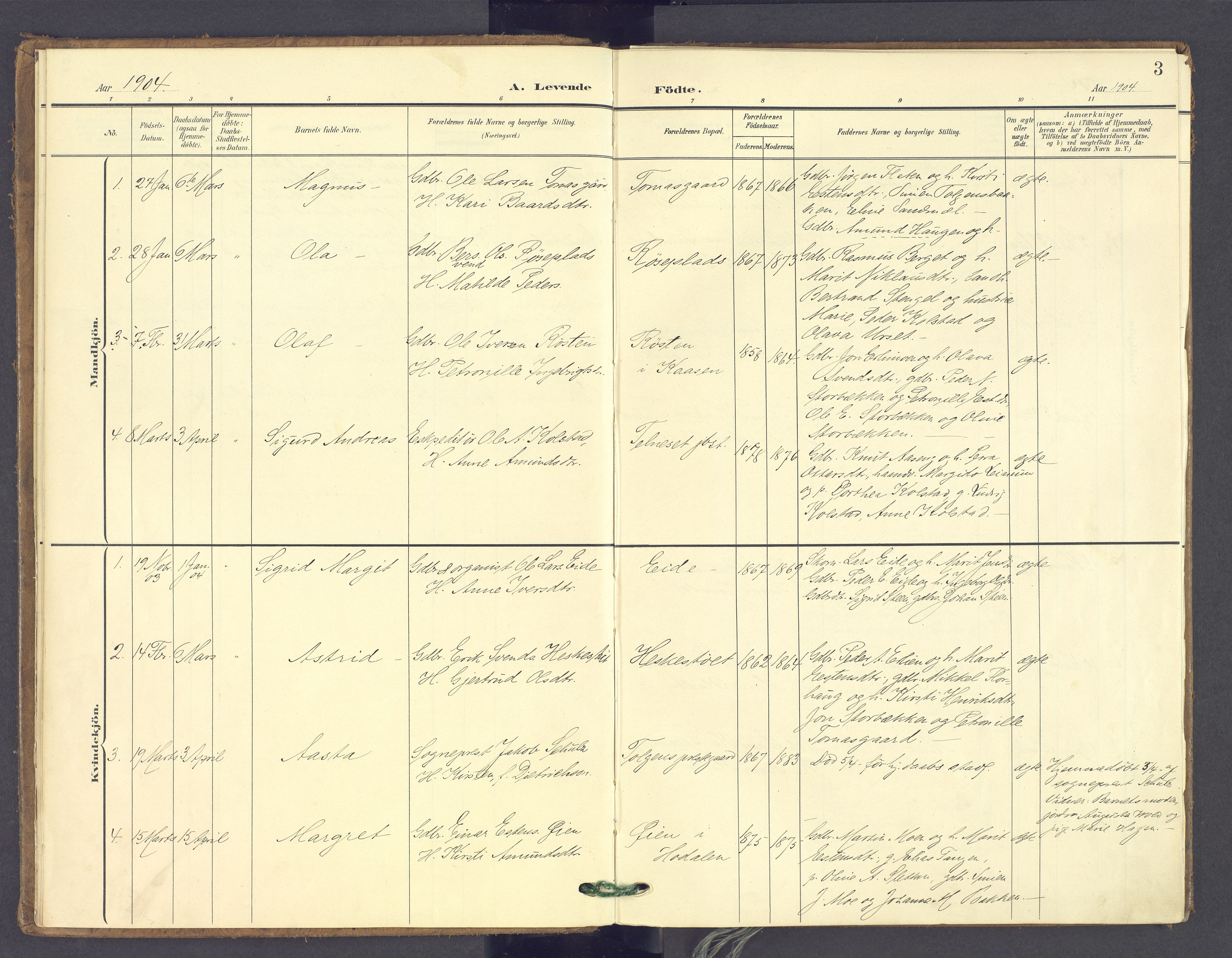 Tolga prestekontor, AV/SAH-PREST-062/K/L0014: Parish register (official) no. 14, 1903-1929, p. 3