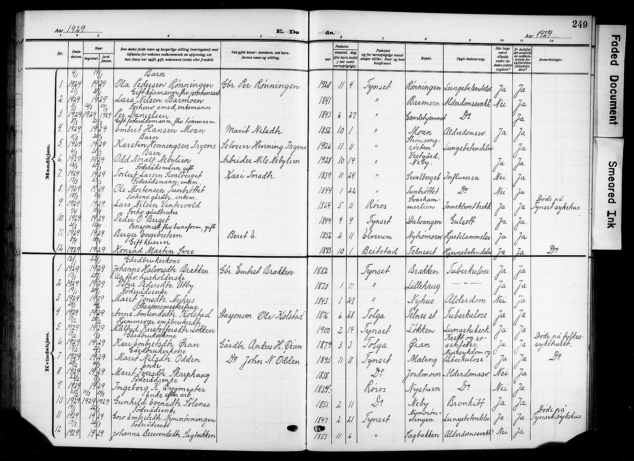 Tynset prestekontor, SAH/PREST-058/H/Ha/Hab/L0011: Parish register (copy) no. 11, 1915-1930, p. 249