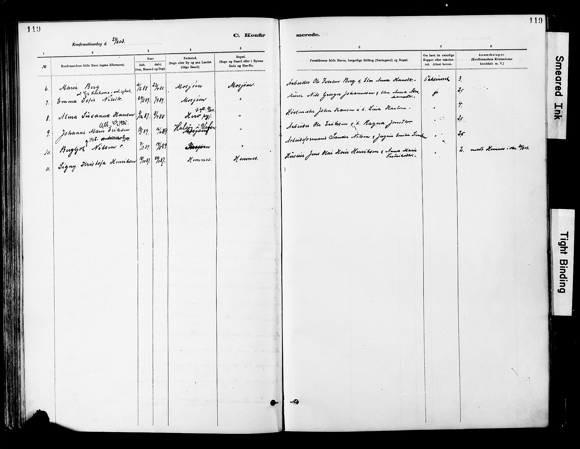 Ministerialprotokoller, klokkerbøker og fødselsregistre - Nordland, AV/SAT-A-1459/820/L0296: Parish register (official) no. 820A17, 1880-1903, p. 119