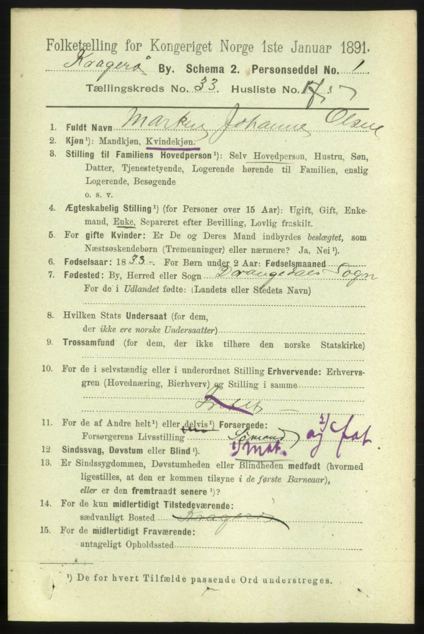 RA, 1891 census for 0801 Kragerø, 1891, p. 6077