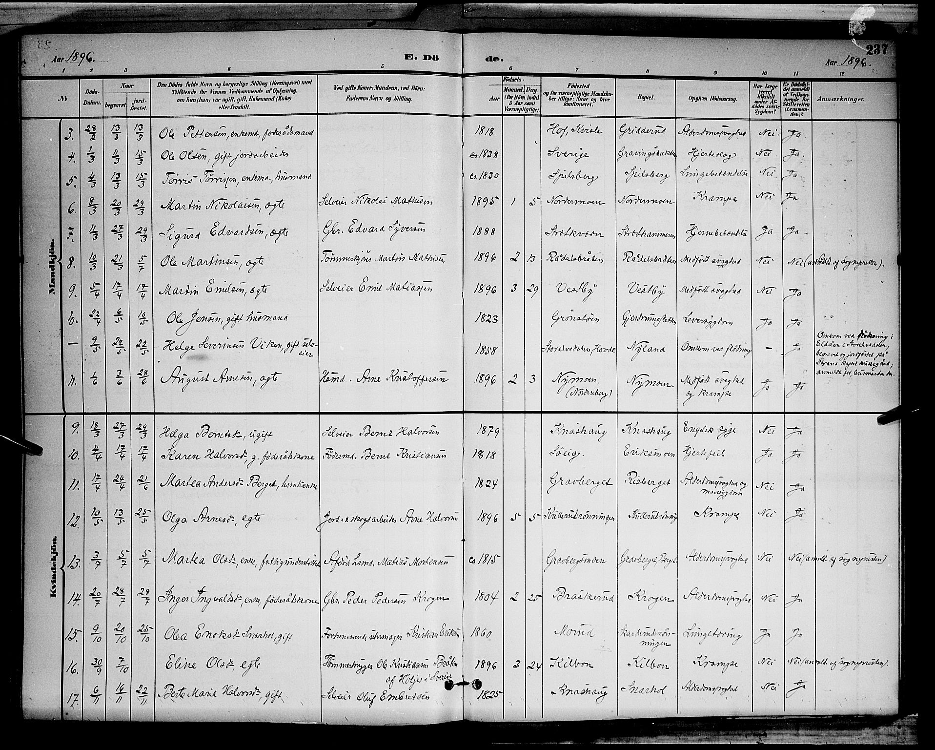 Våler prestekontor, Hedmark, AV/SAH-PREST-040/H/Ha/Hab/L0001: Parish register (copy) no. 1, 1894-1904, p. 237