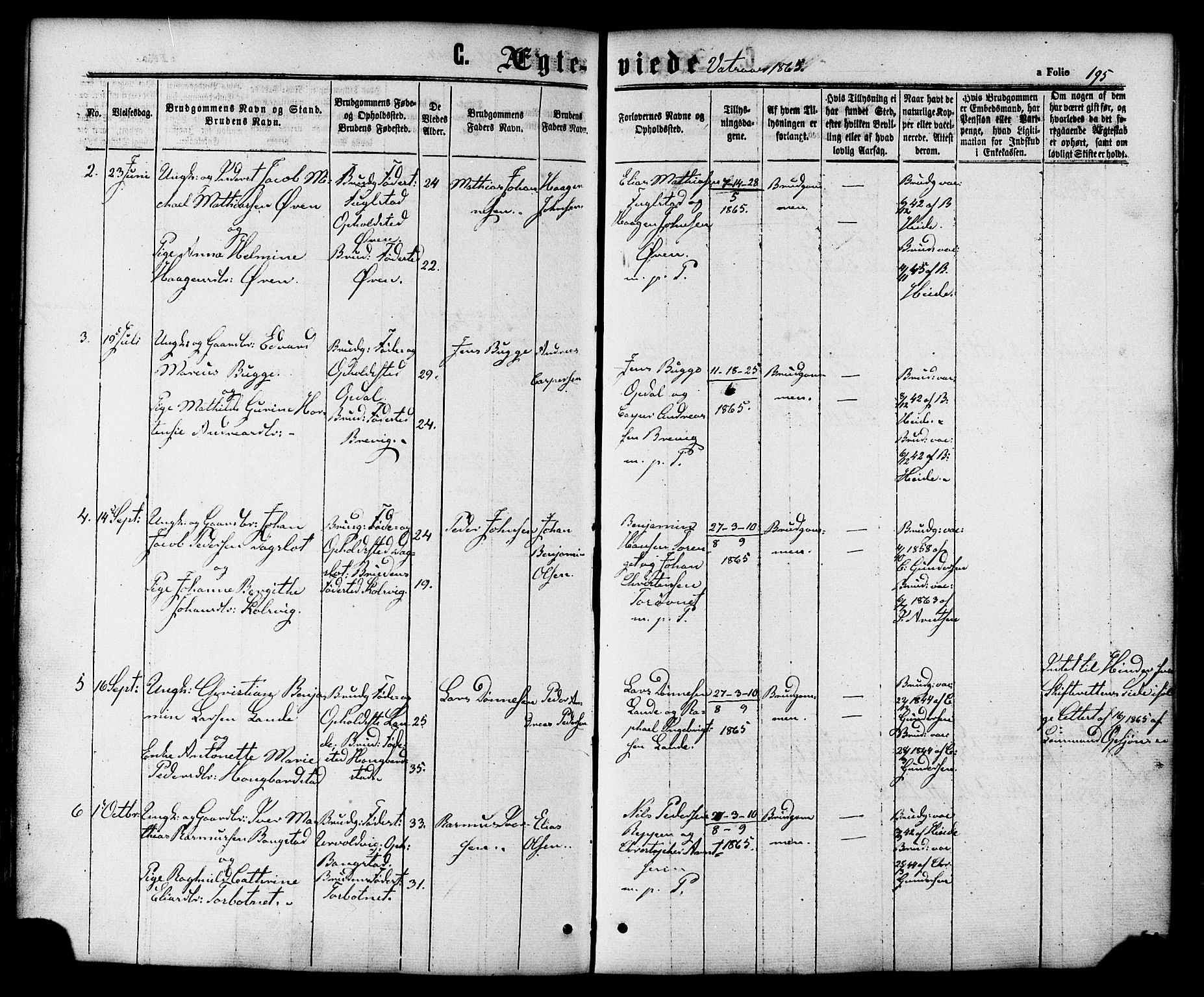 Ministerialprotokoller, klokkerbøker og fødselsregistre - Nordland, AV/SAT-A-1459/810/L0146: Parish register (official) no. 810A08 /1, 1862-1874, p. 195