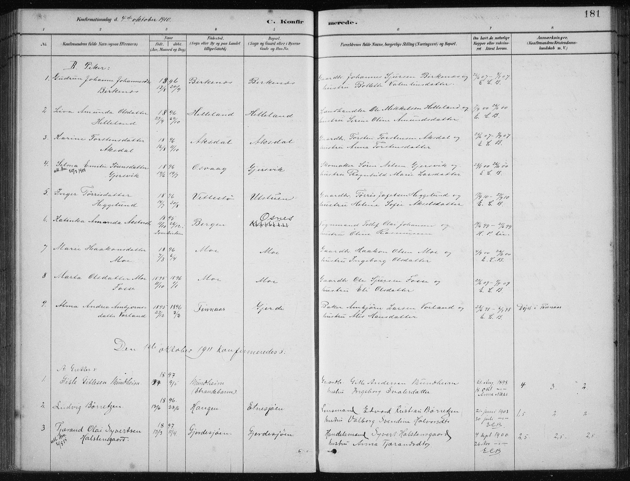 Etne sokneprestembete, SAB/A-75001/H/Haa: Parish register (official) no. C  1, 1879-1919, p. 181