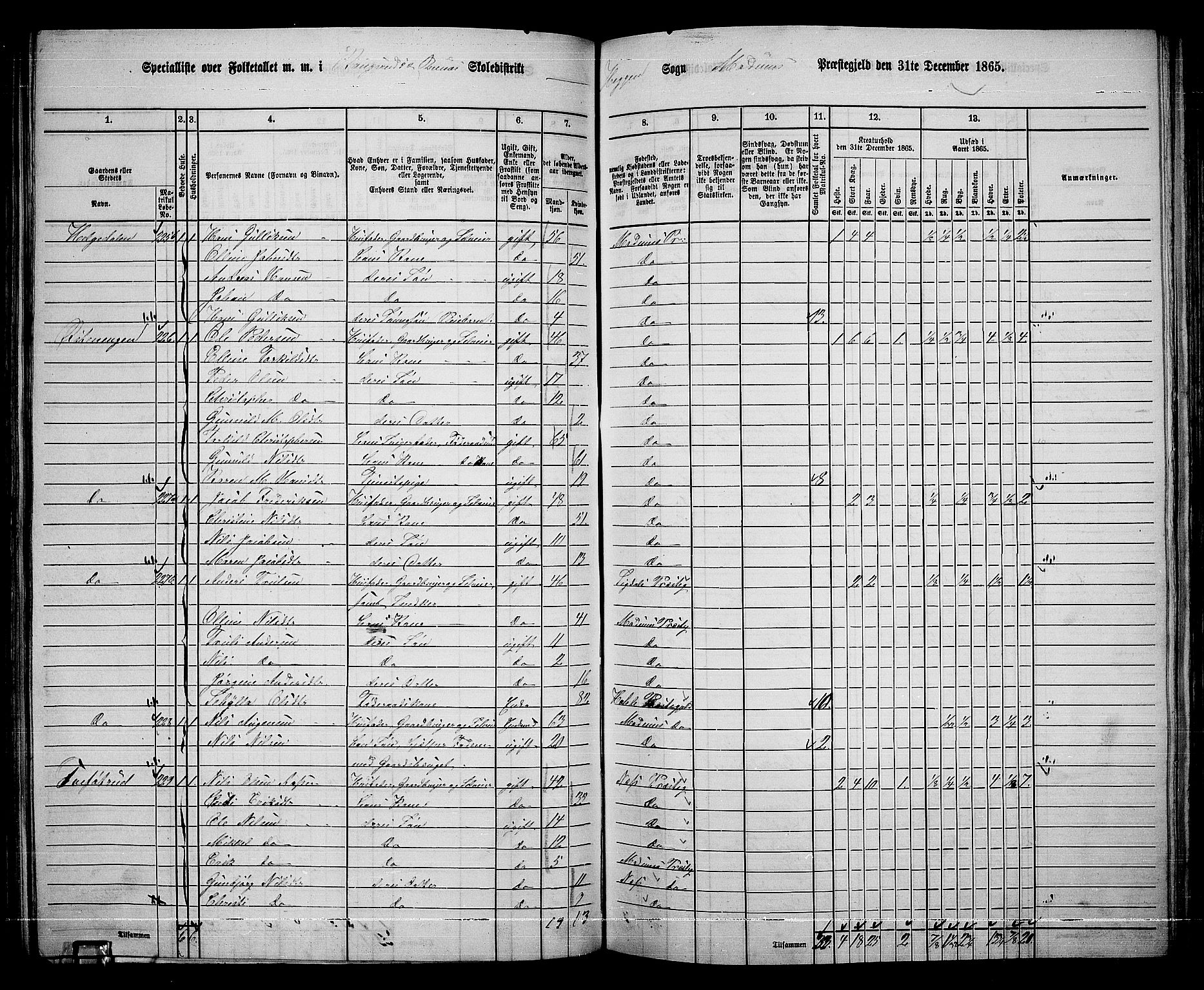 RA, 1865 census for Modum, 1865, p. 138