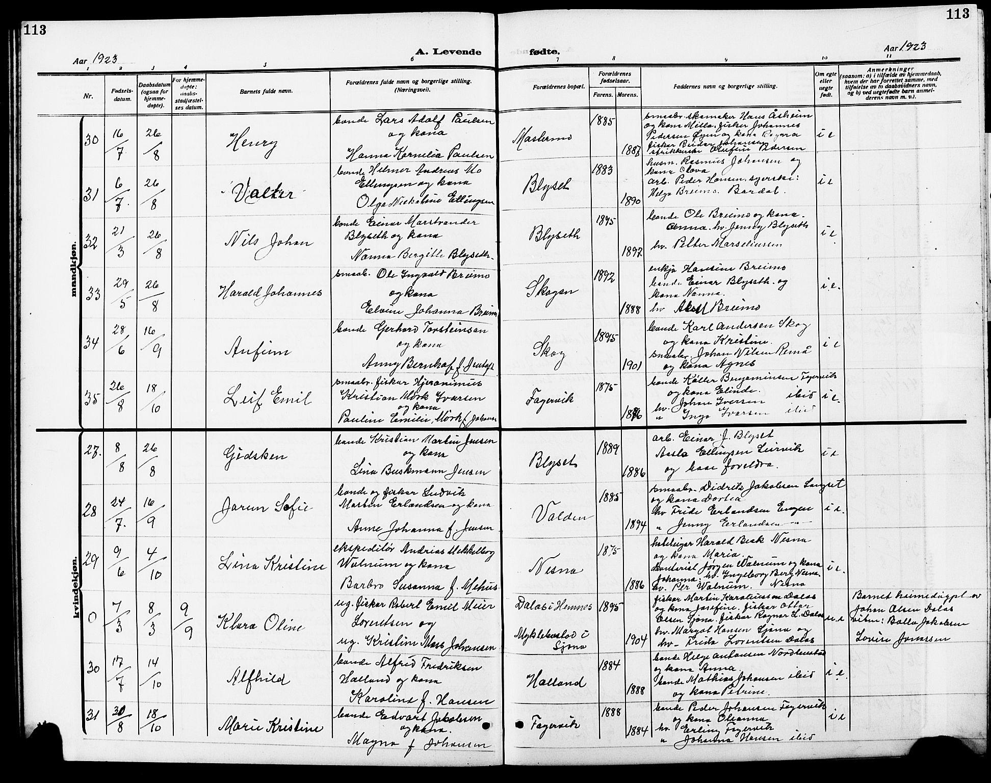 Ministerialprotokoller, klokkerbøker og fødselsregistre - Nordland, AV/SAT-A-1459/838/L0560: Parish register (copy) no. 838C07, 1910-1928, p. 113