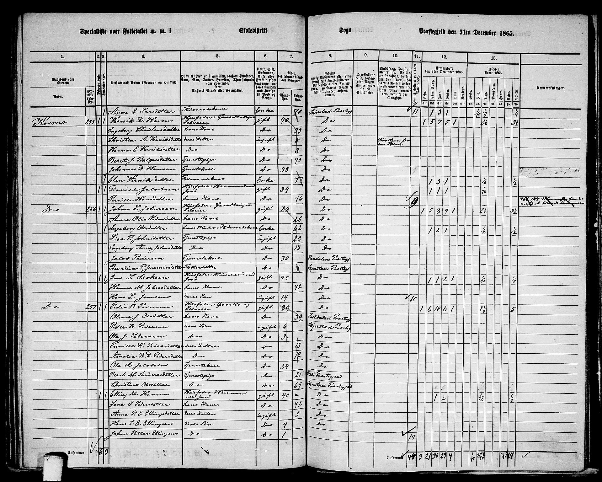 RA, 1865 census for Skjerstad, 1865, p. 125