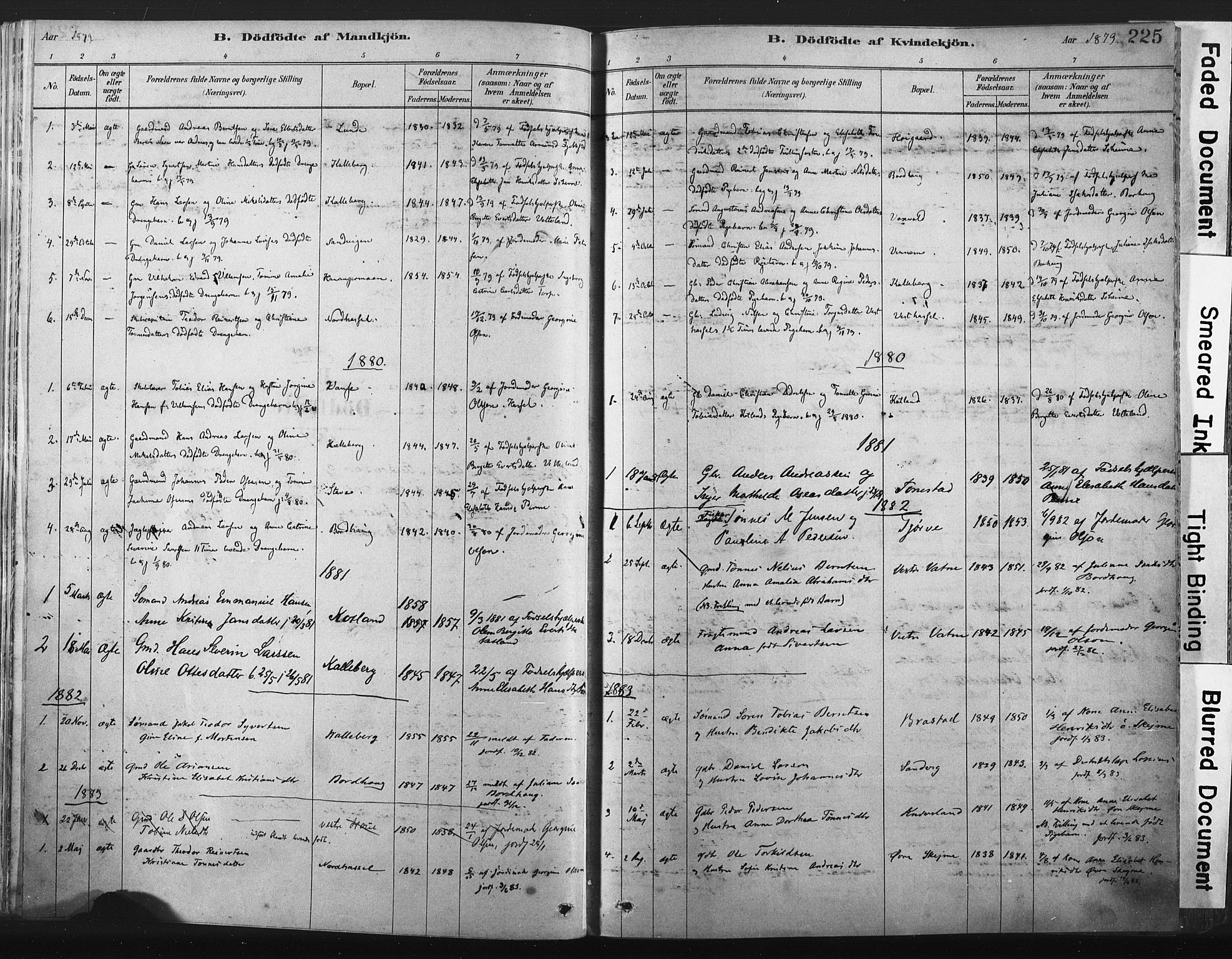 Lista sokneprestkontor, AV/SAK-1111-0027/F/Fa/L0012: Parish register (official) no. A 12, 1879-1903, p. 225