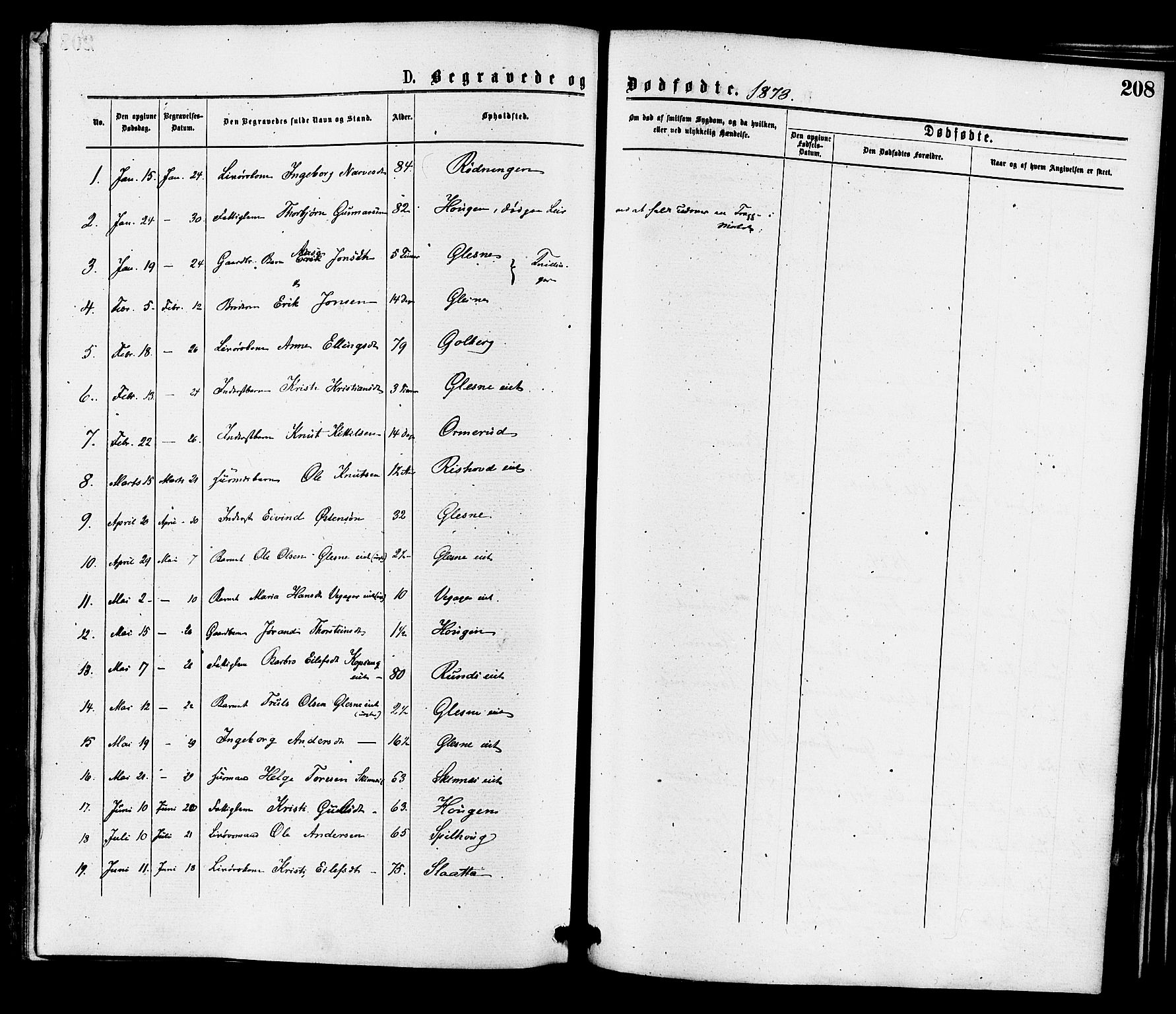 Krødsherad kirkebøker, SAKO/A-19/F/Fa/L0004: Parish register (official) no. 4, 1873-1878, p. 208