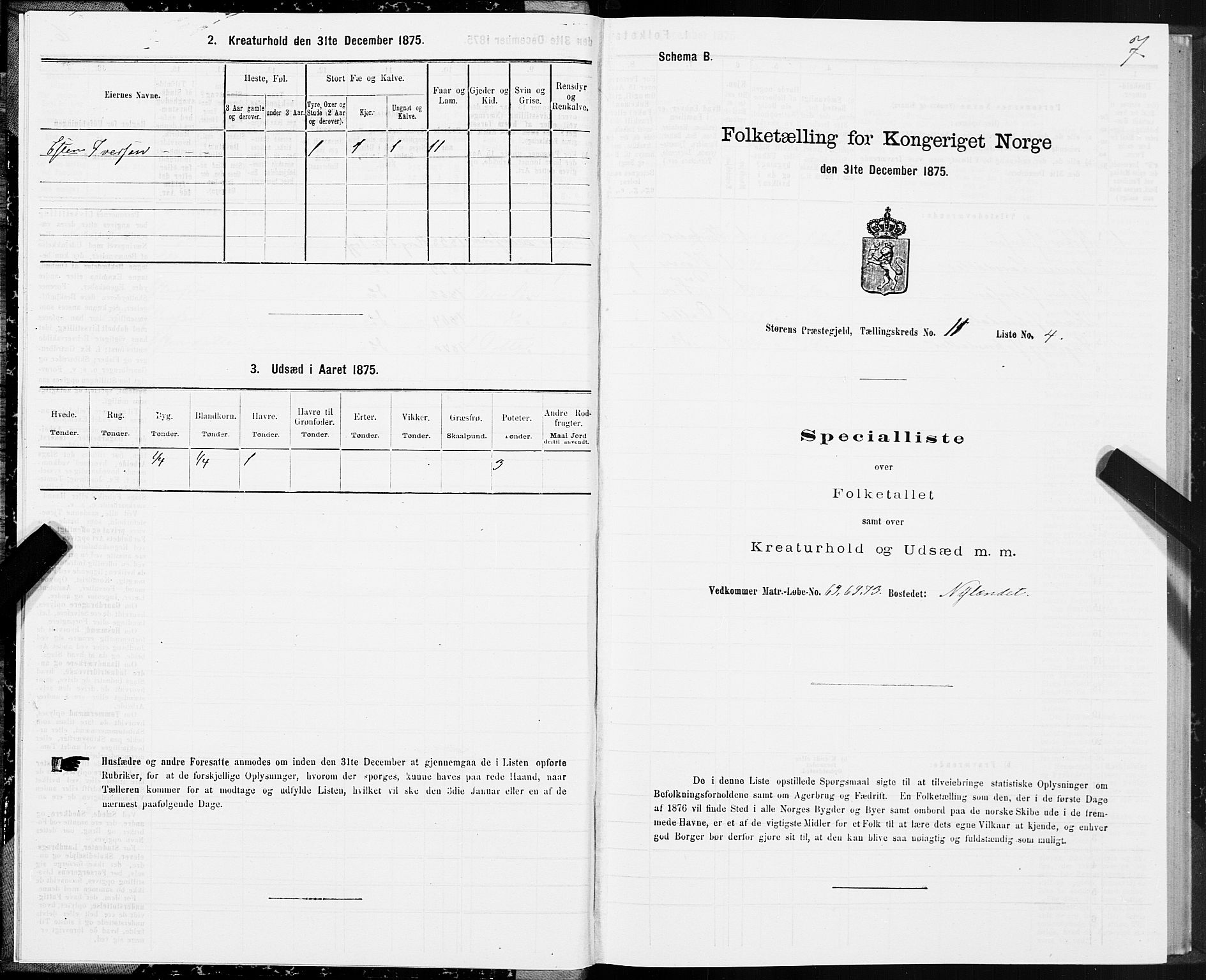 SAT, 1875 census for 1648P Støren, 1875, p. 6007