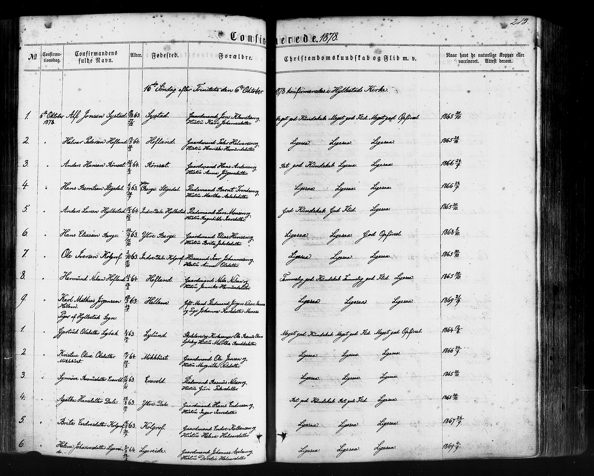 Hyllestad sokneprestembete, SAB/A-80401: Parish register (official) no. A 1, 1861-1886, p. 213