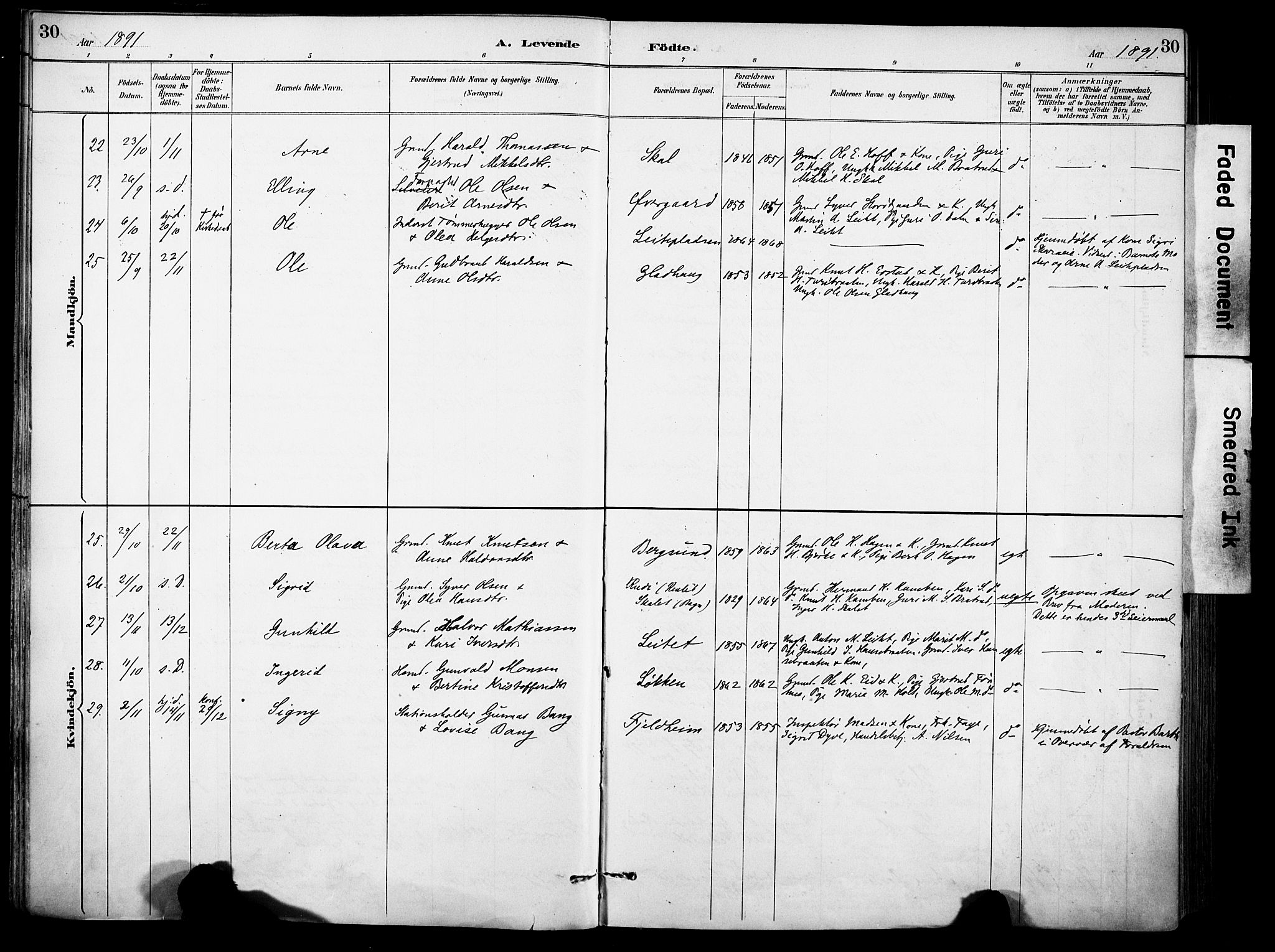 Sør-Aurdal prestekontor, SAH/PREST-128/H/Ha/Haa/L0009: Parish register (official) no. 9, 1886-1906, p. 30