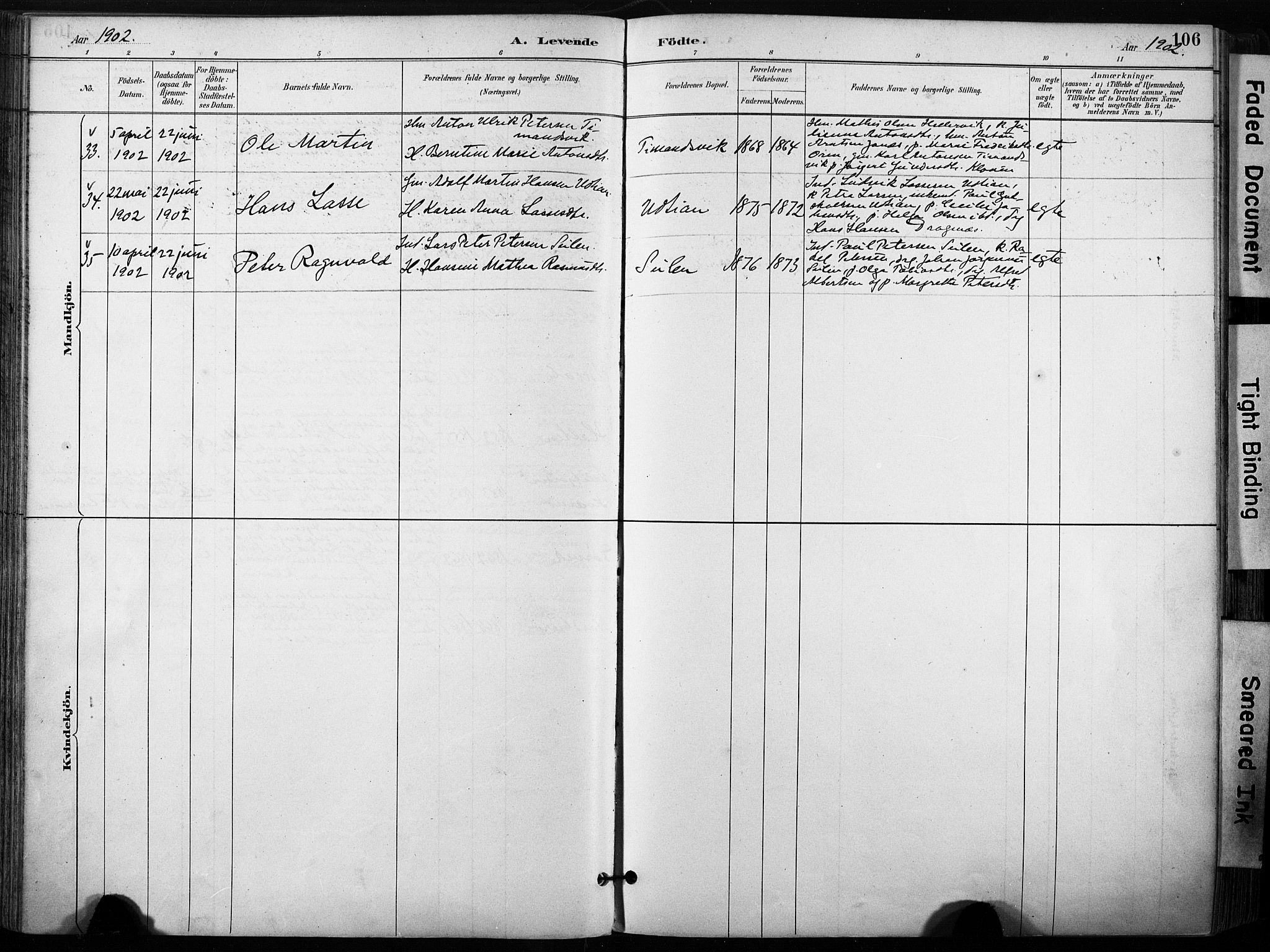 Ministerialprotokoller, klokkerbøker og fødselsregistre - Sør-Trøndelag, SAT/A-1456/640/L0579: Parish register (official) no. 640A04, 1889-1902, p. 106
