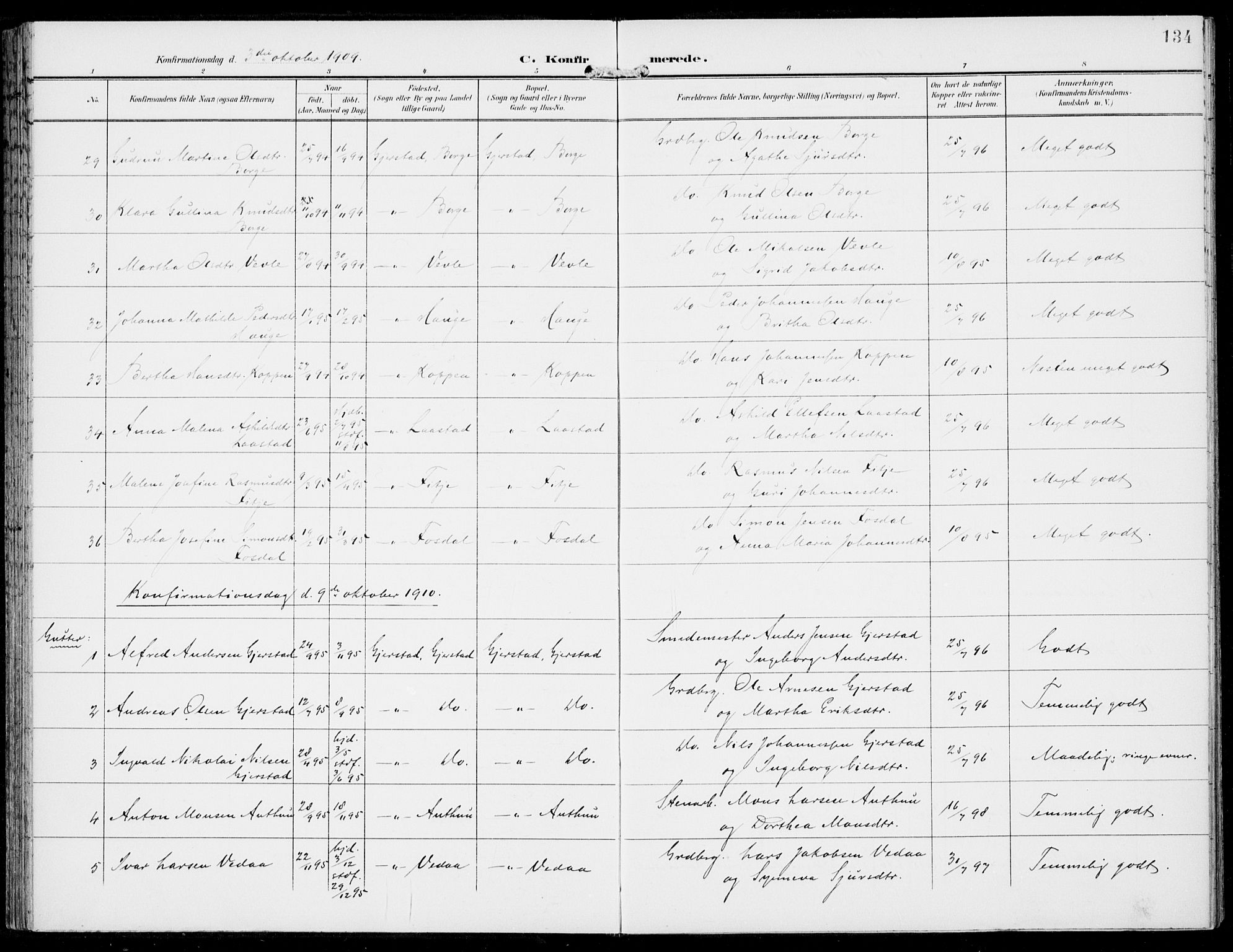 Haus sokneprestembete, AV/SAB-A-75601/H/Haa: Parish register (official) no. C  2, 1900-1915, p. 134